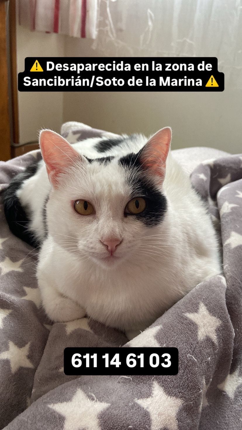 lucky - Sancibrián, Santa Cruz de Bezana