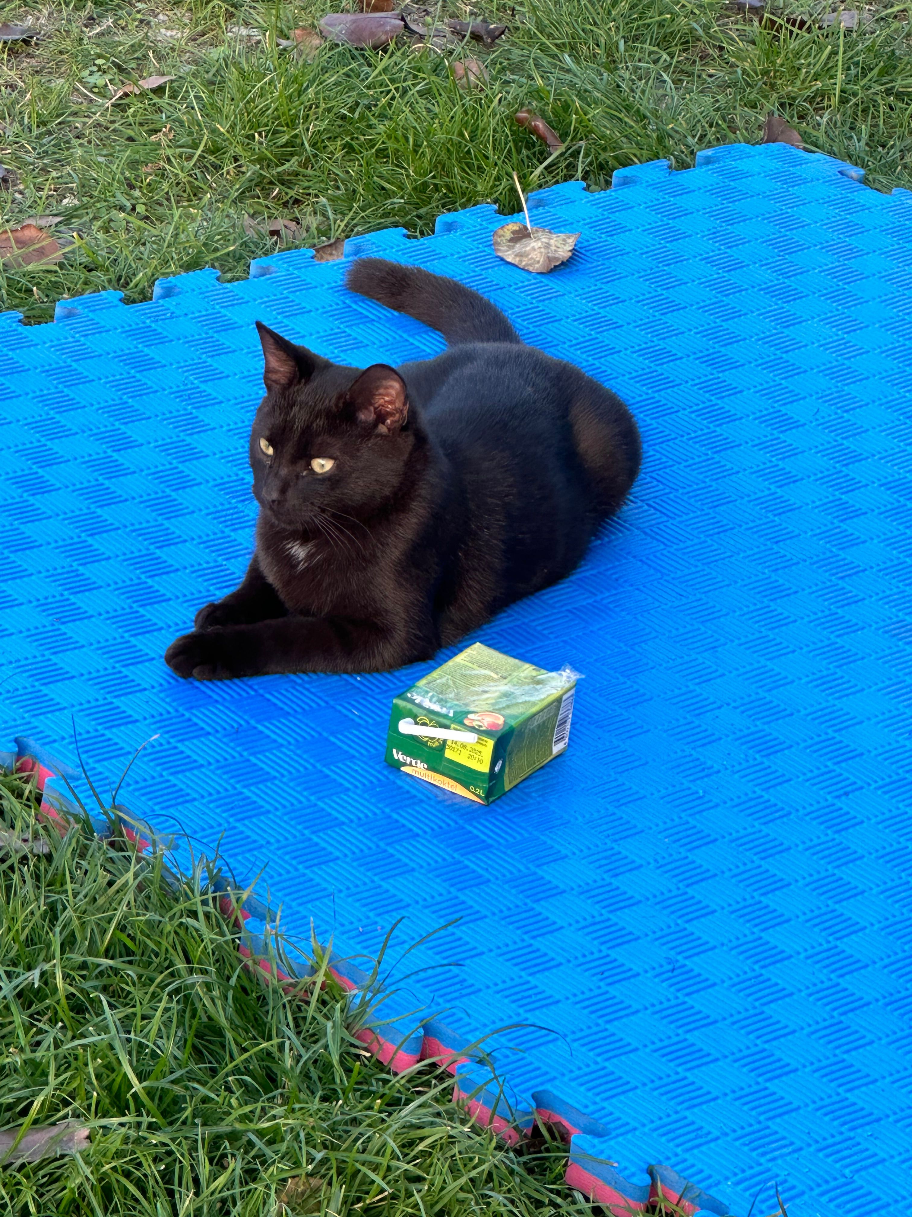 Gara - Улица Ловачка, Dobanovci