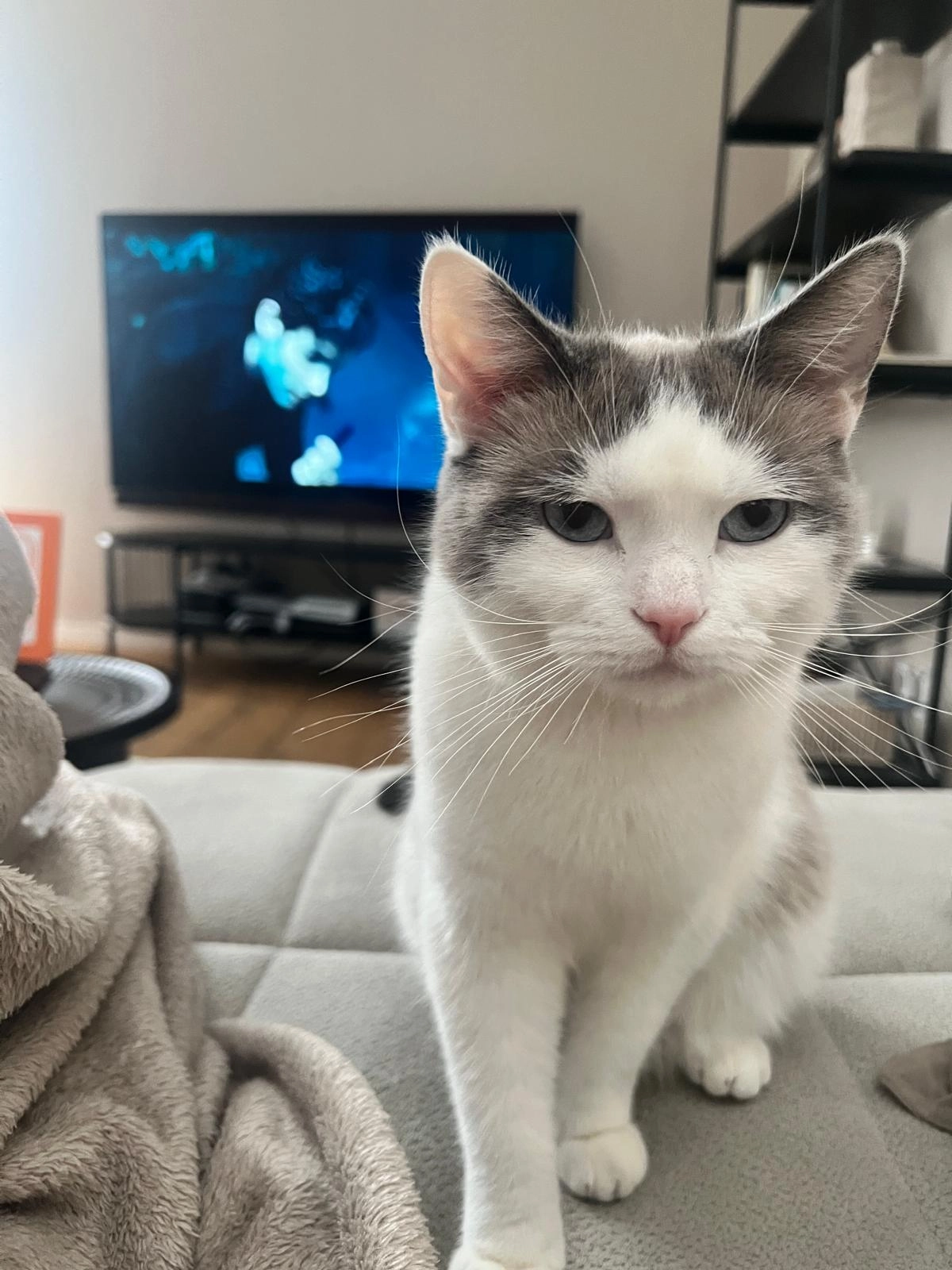 Maya - Max-Planck-Ring, Heidelberg