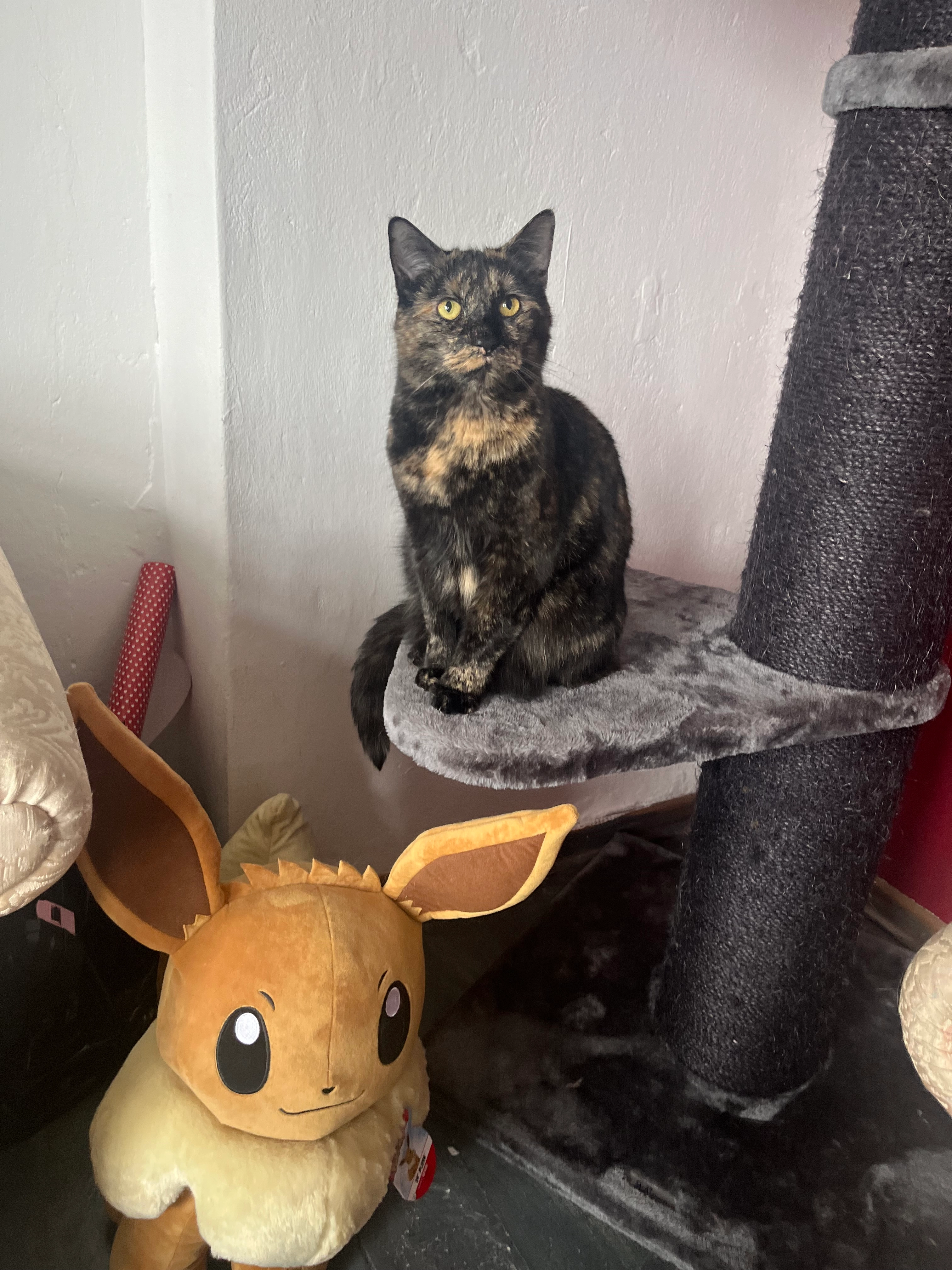 Luna  - Heinrichstraße, Bielefeld