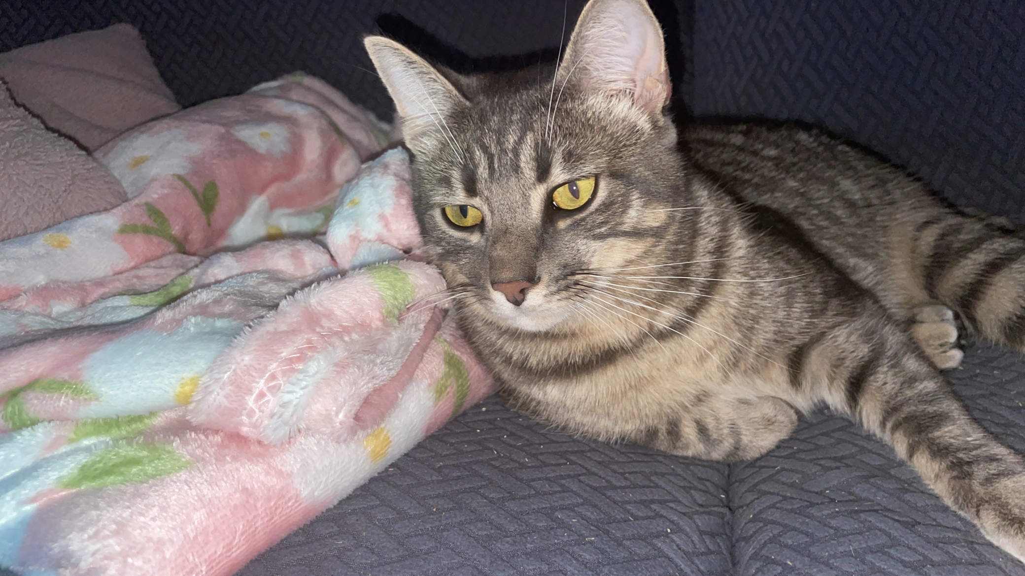 Valoriou - Rue Jules Verne, Montoir-de-Bretagne