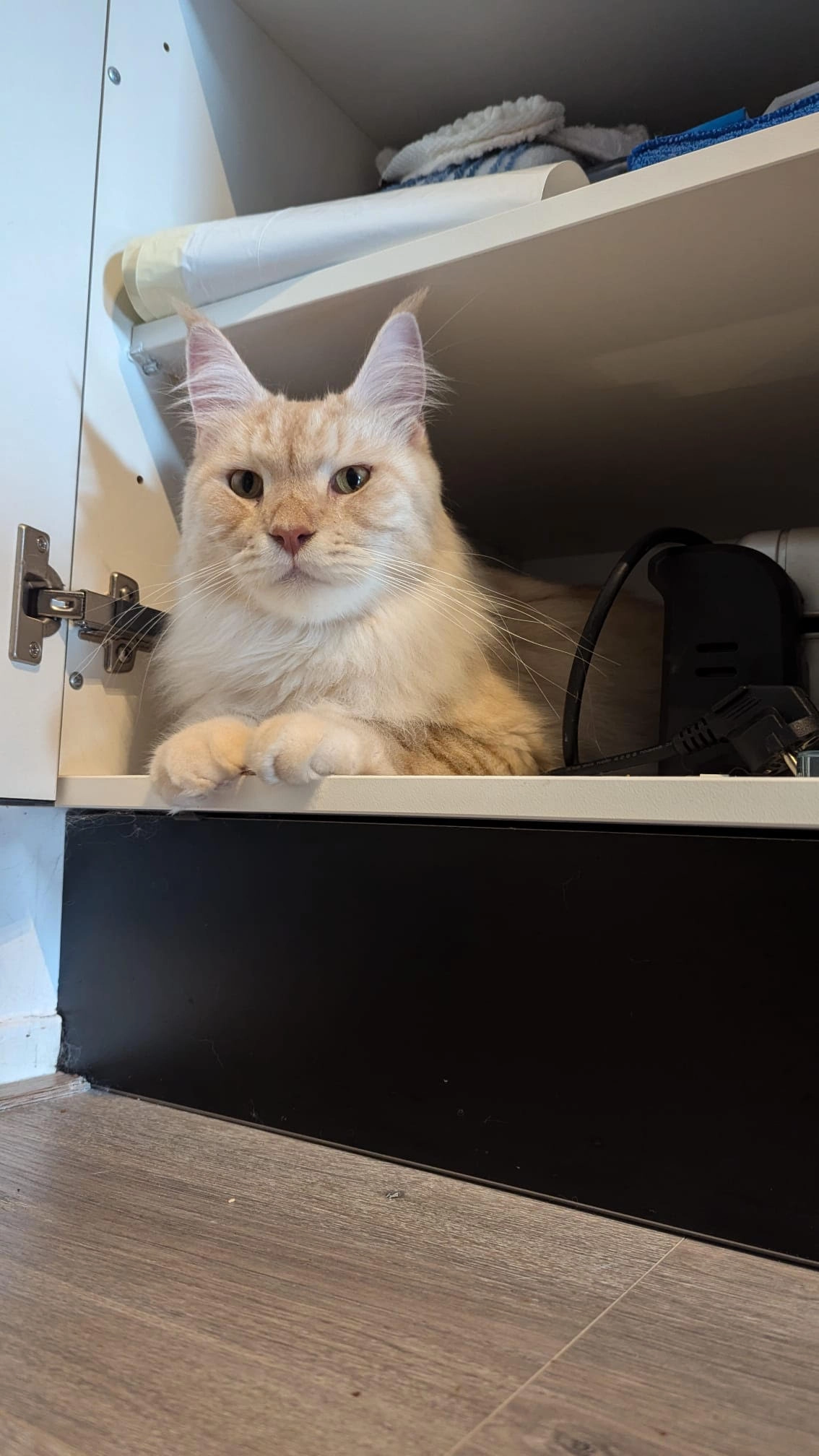 Cooper - Bouwe van Ensstraat, Heerenveen