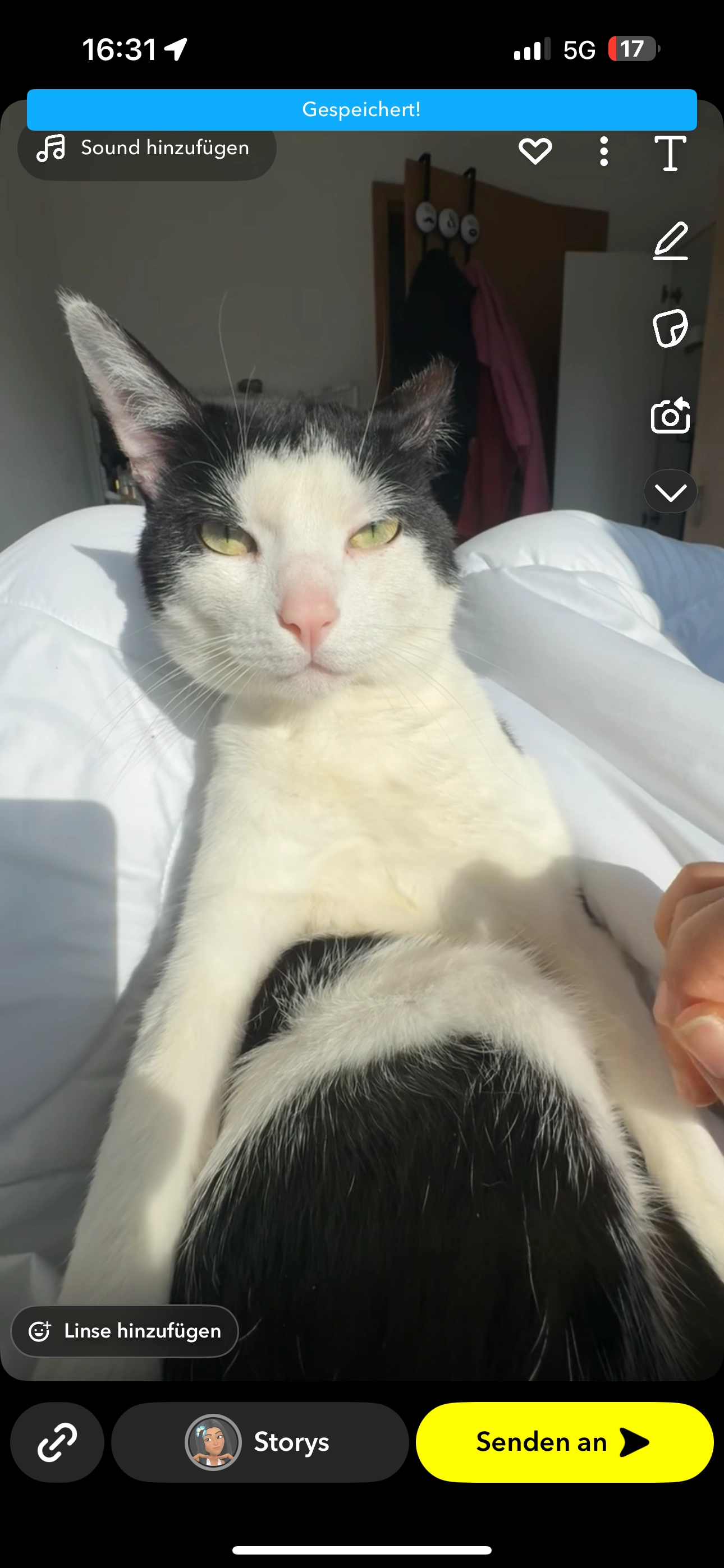 sushi  - Hauptstraße, Rennerod