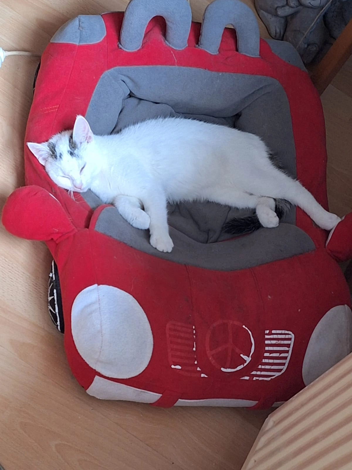 Kiwi - August-Bebel-Straße, Neunkirchen