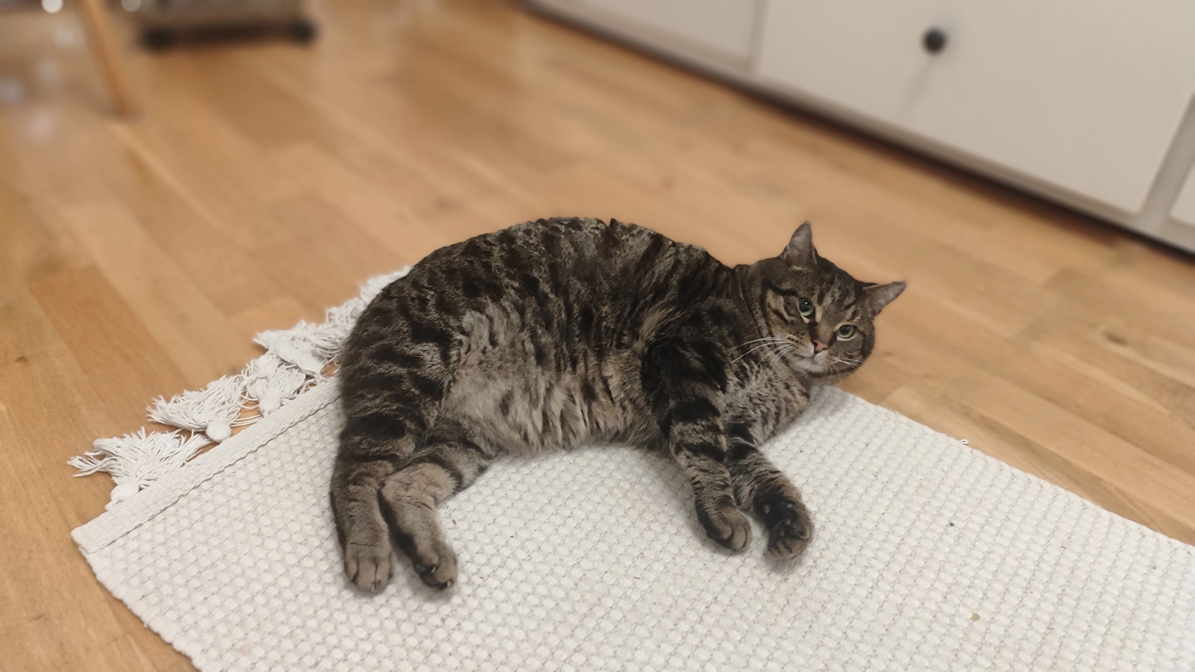 Oliver - Erich-Weinert-Straße, Bad Lausick