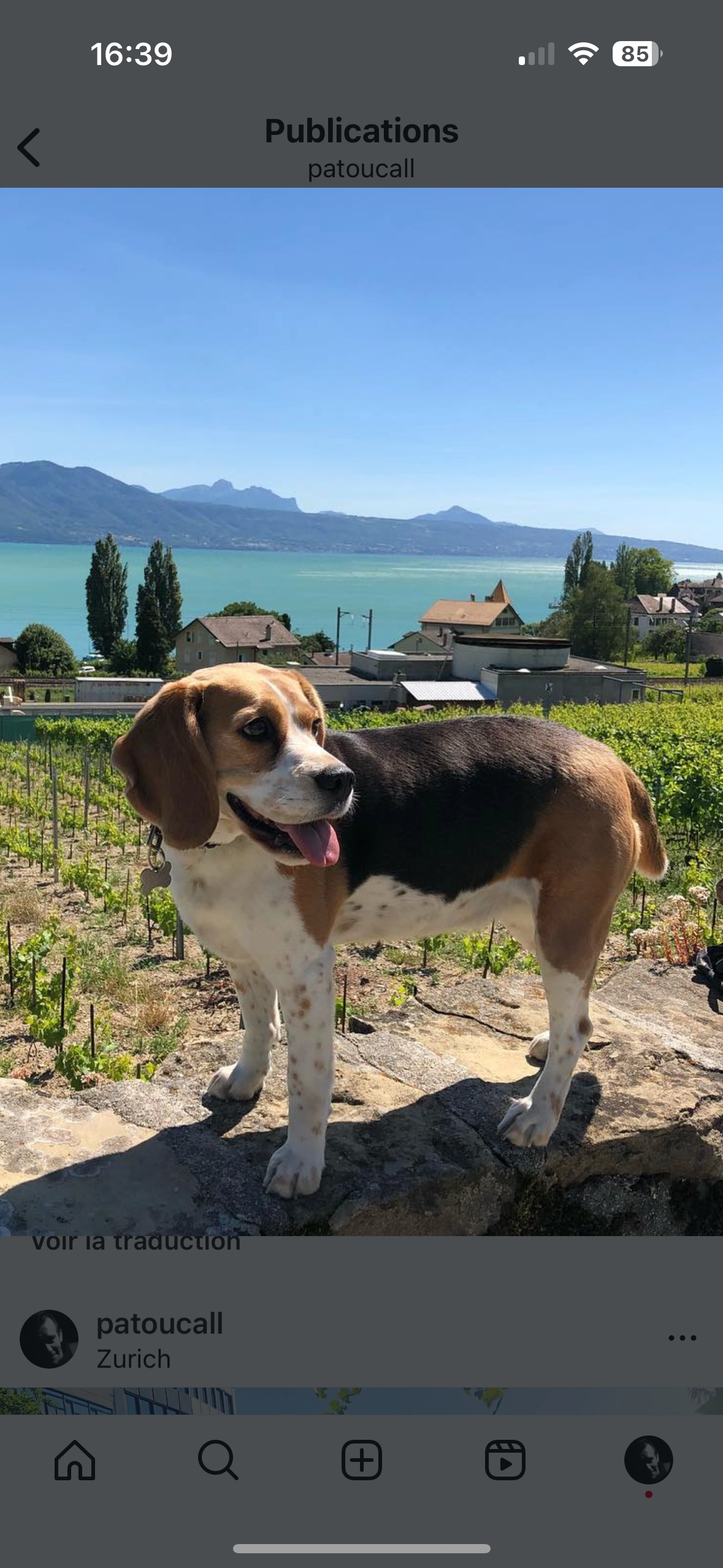 Lady - Rue des Uttins, Yverdon-les-Bains