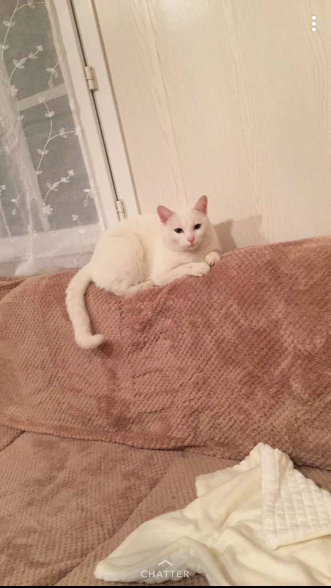 Mimine - Rue Du Poirier, Saint-Martin-la-Pallu