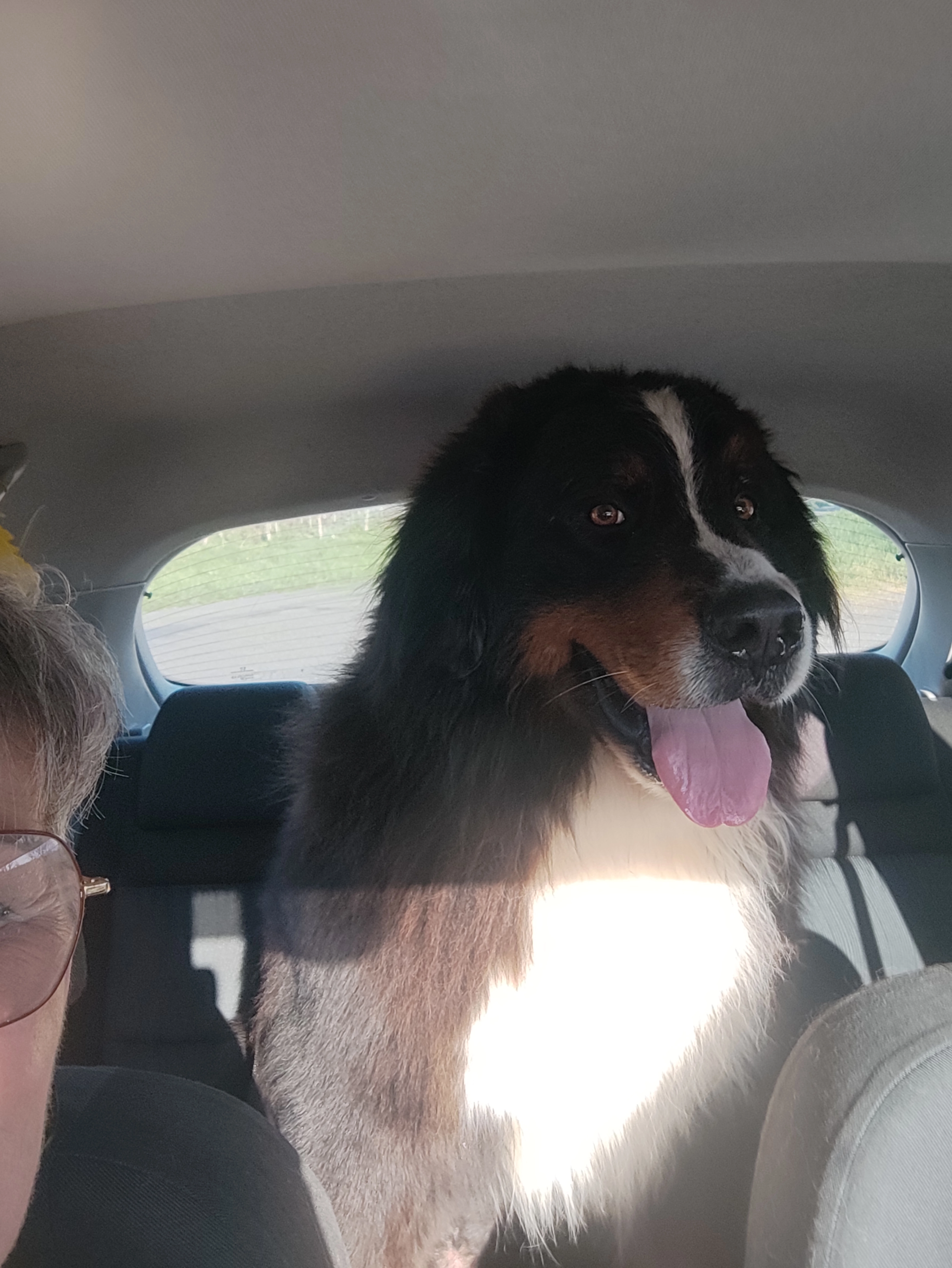 Nayco - 340 Impasse Voltaire, Razac-de-Saussignac