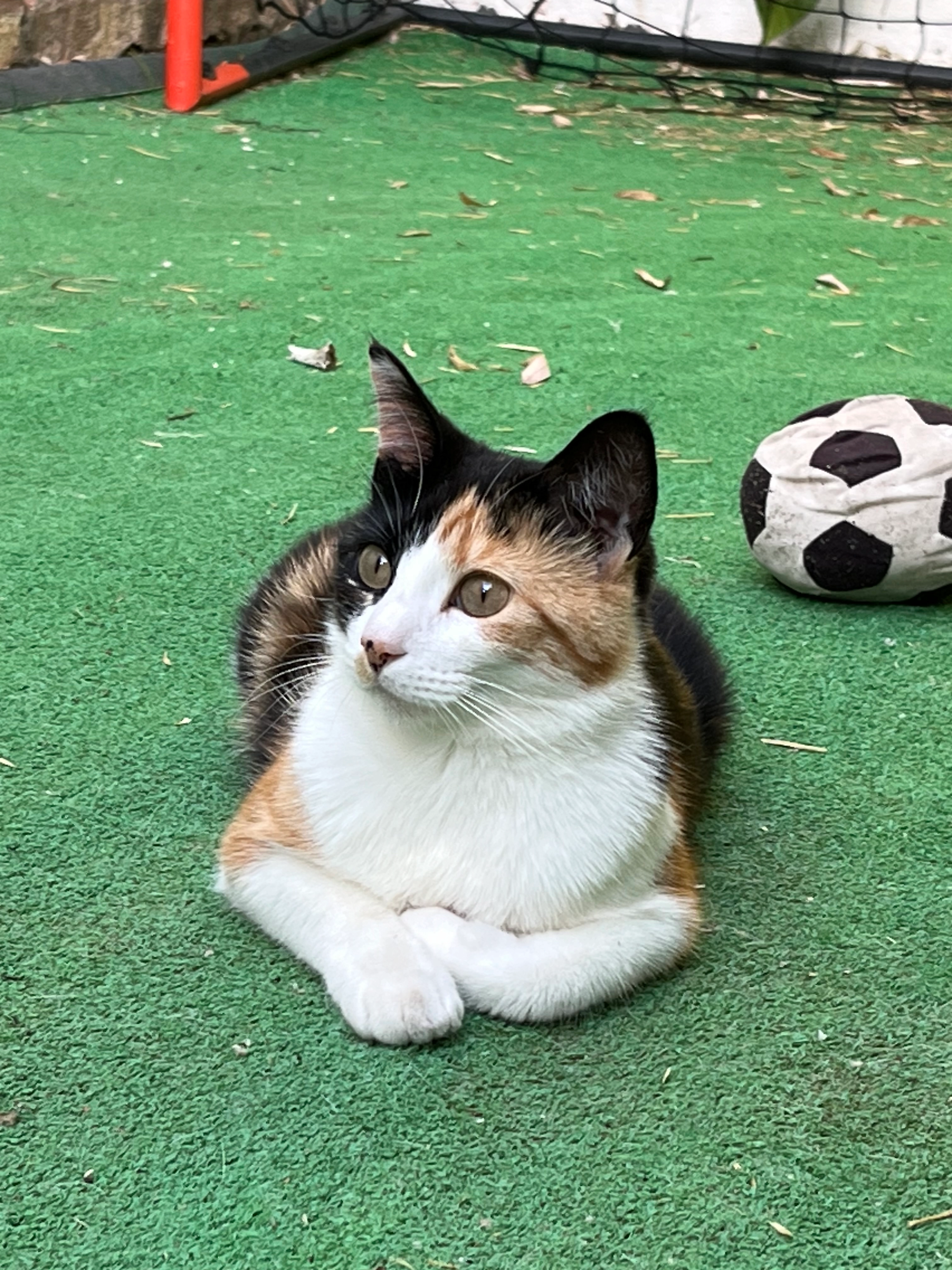 Monina - Calle Almería, Utrera