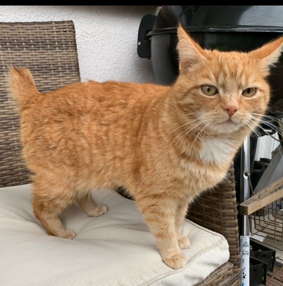 Bobby - Im Bienengarten, Beltheim