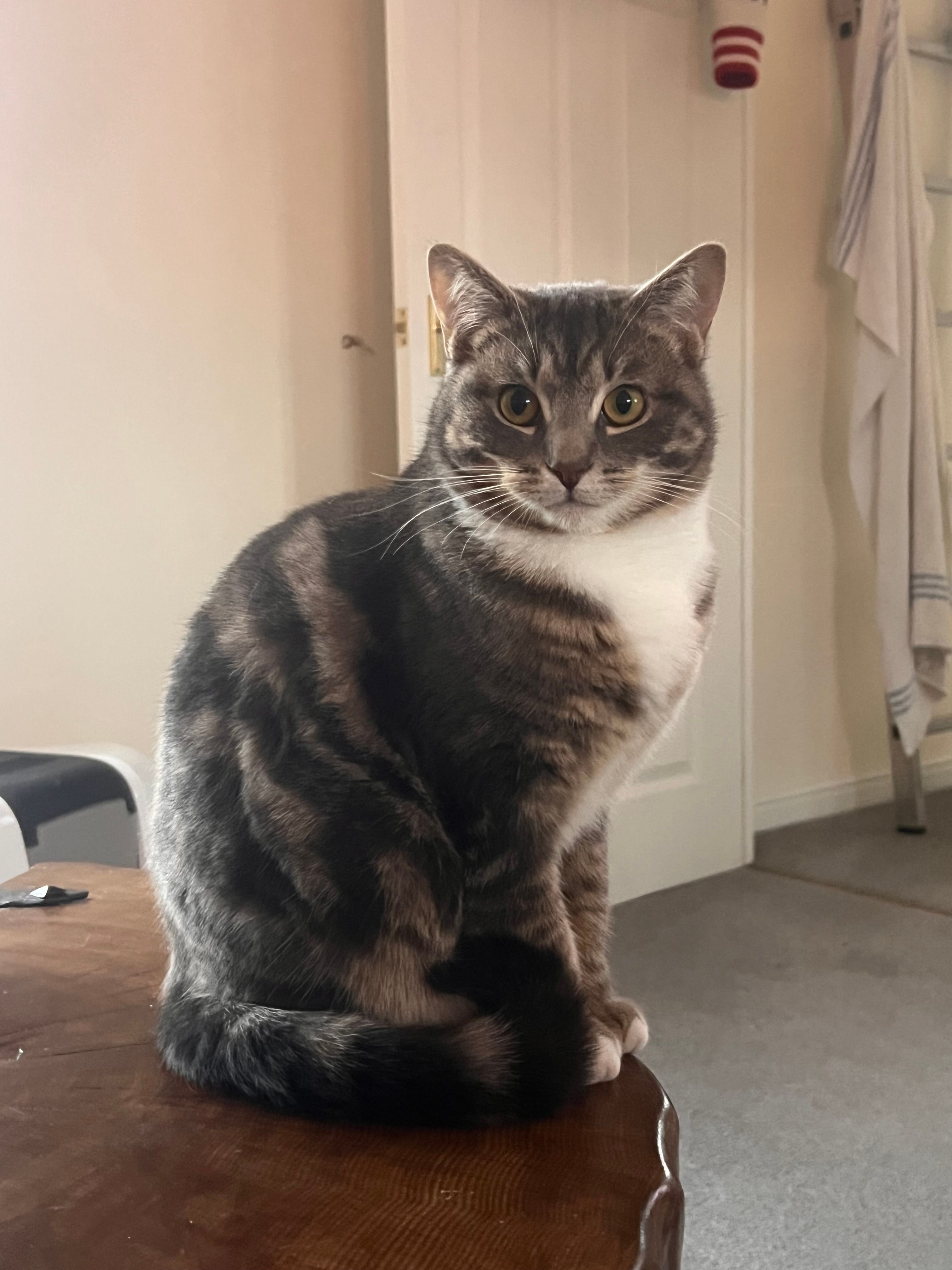 Sheriff - Parsley Place, Banbury