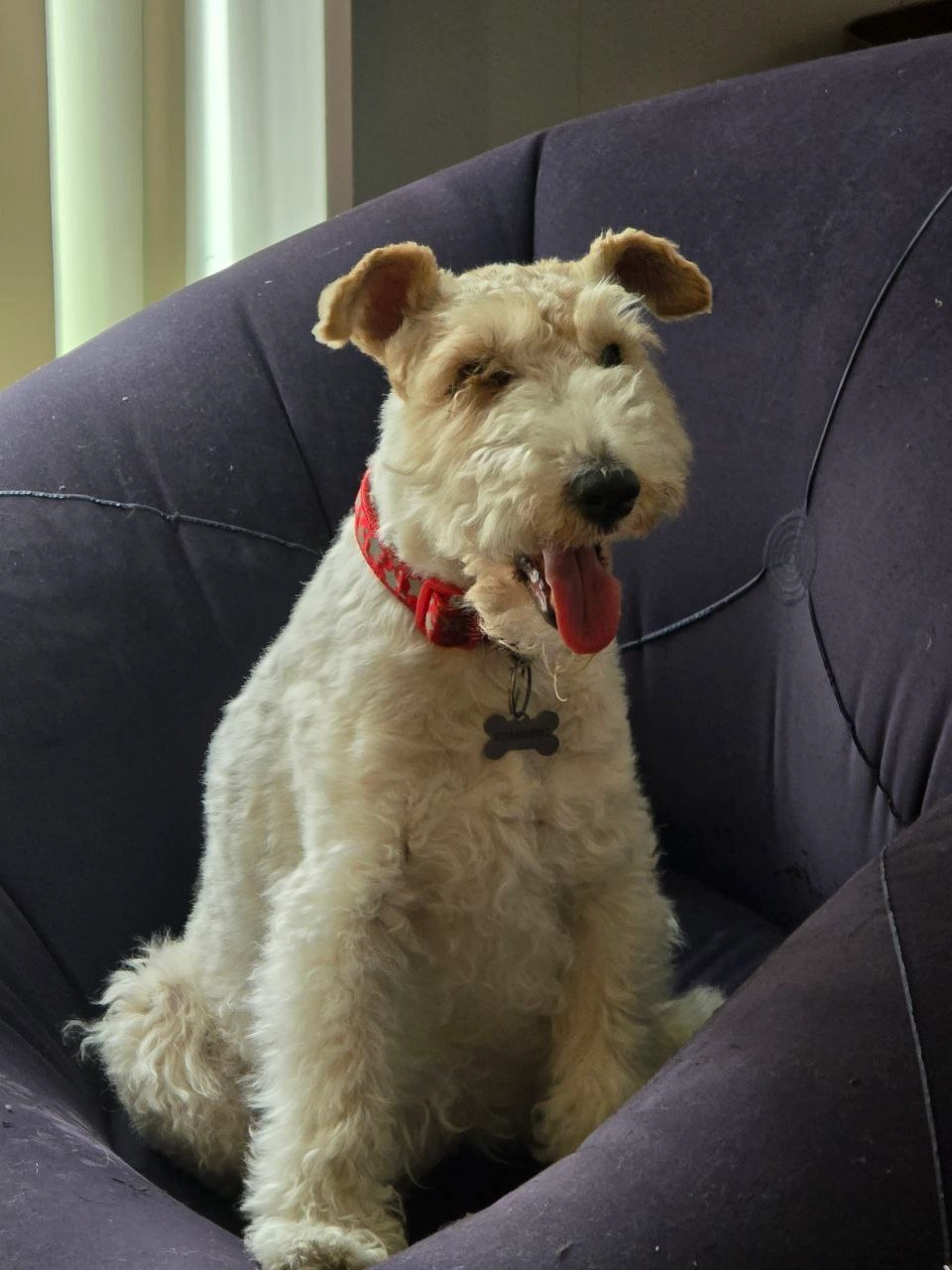 Nel - Voysey Square, London