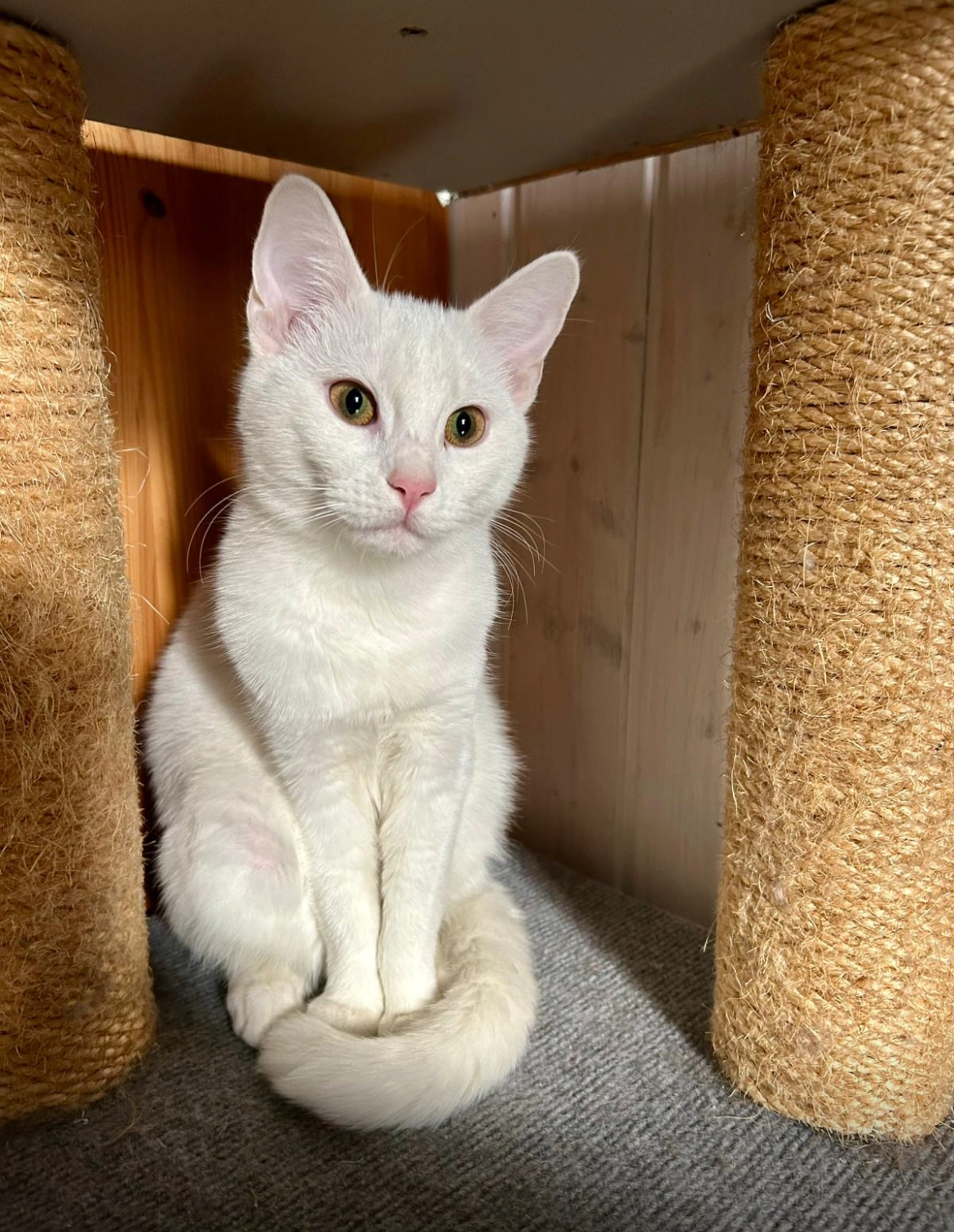 Irma - Nißmitz, Freyburg