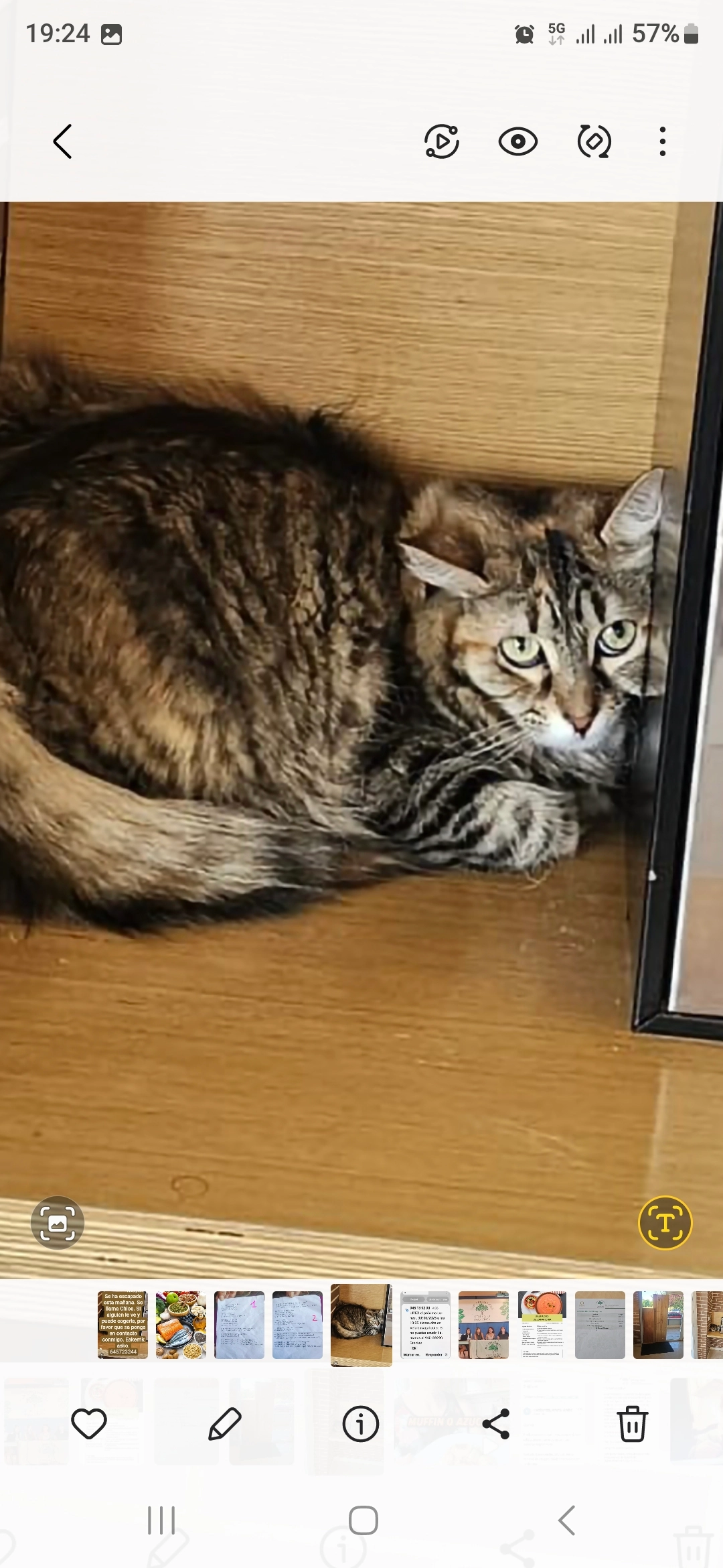 Chloe - Miren Martinez Saez del Burgo Kalea, Vitoria-Gasteiz