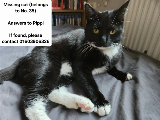 Pippi - Toftes Place, Norwich