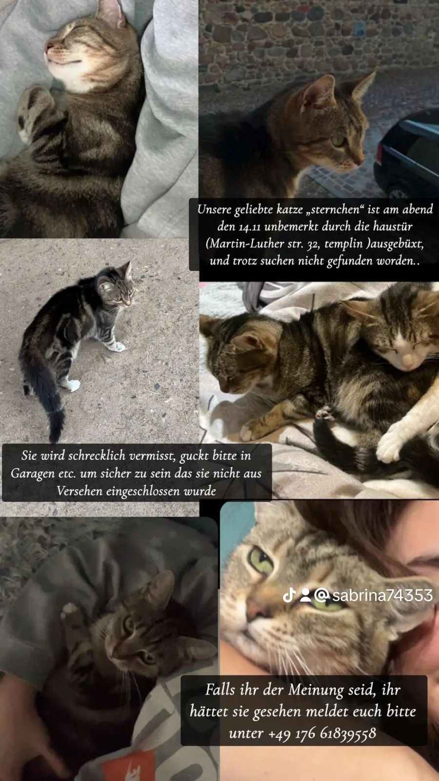 Sternchen - Mühlenstraße, Templin