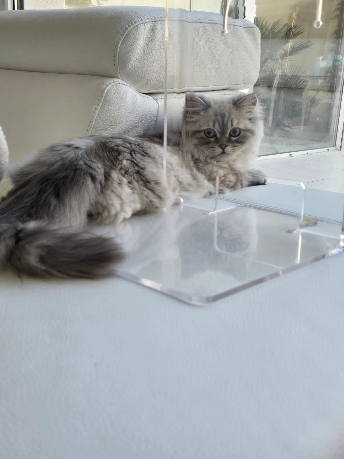 Achille - Rue Adolphe Thiers, Saint-André-les-Vergers