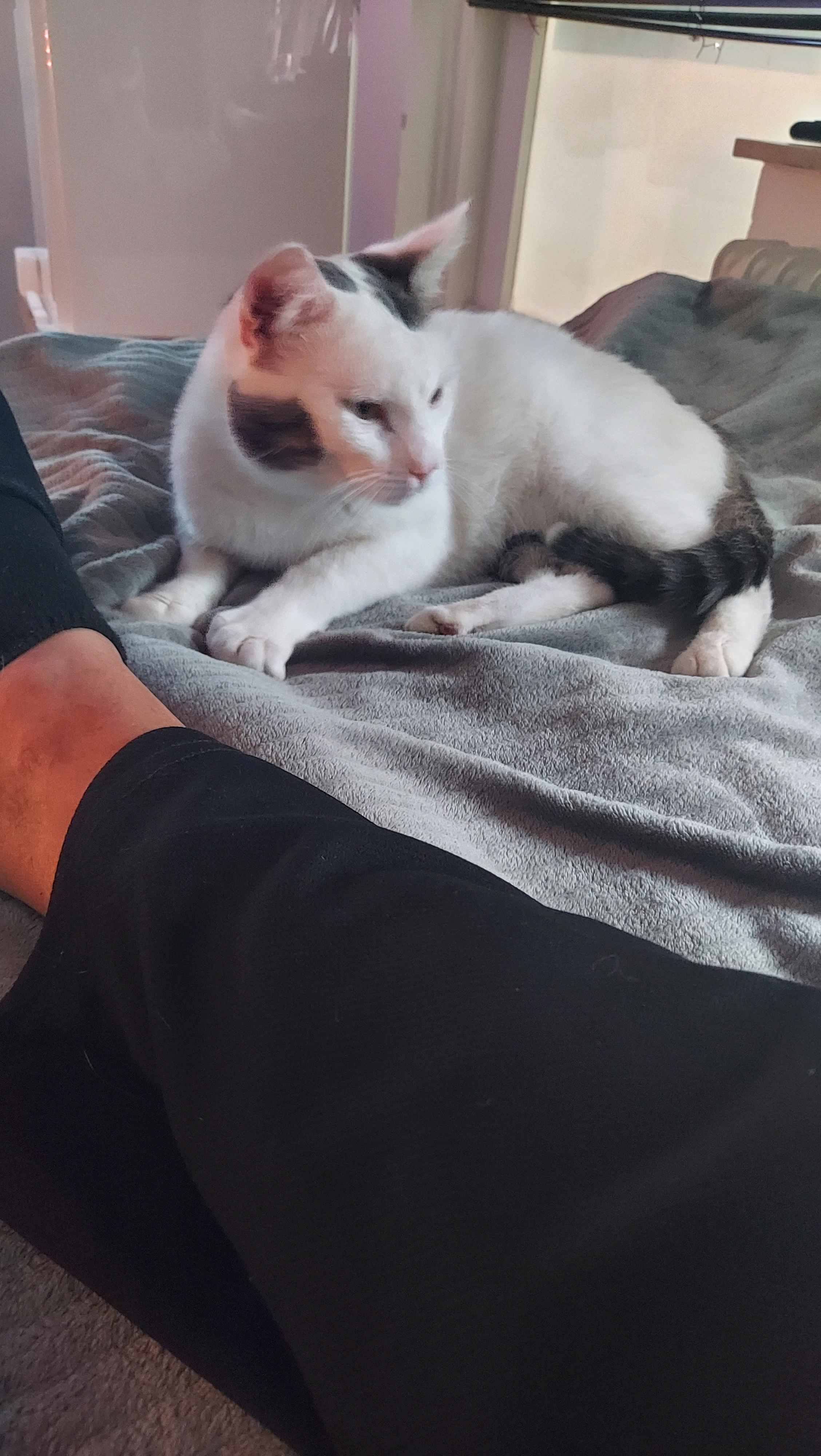 Billy - Symfoniestraat, Nijmegen