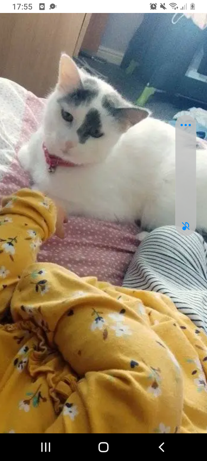 Pebbles - Hummersea Lane, Saltburn-by-the-Sea