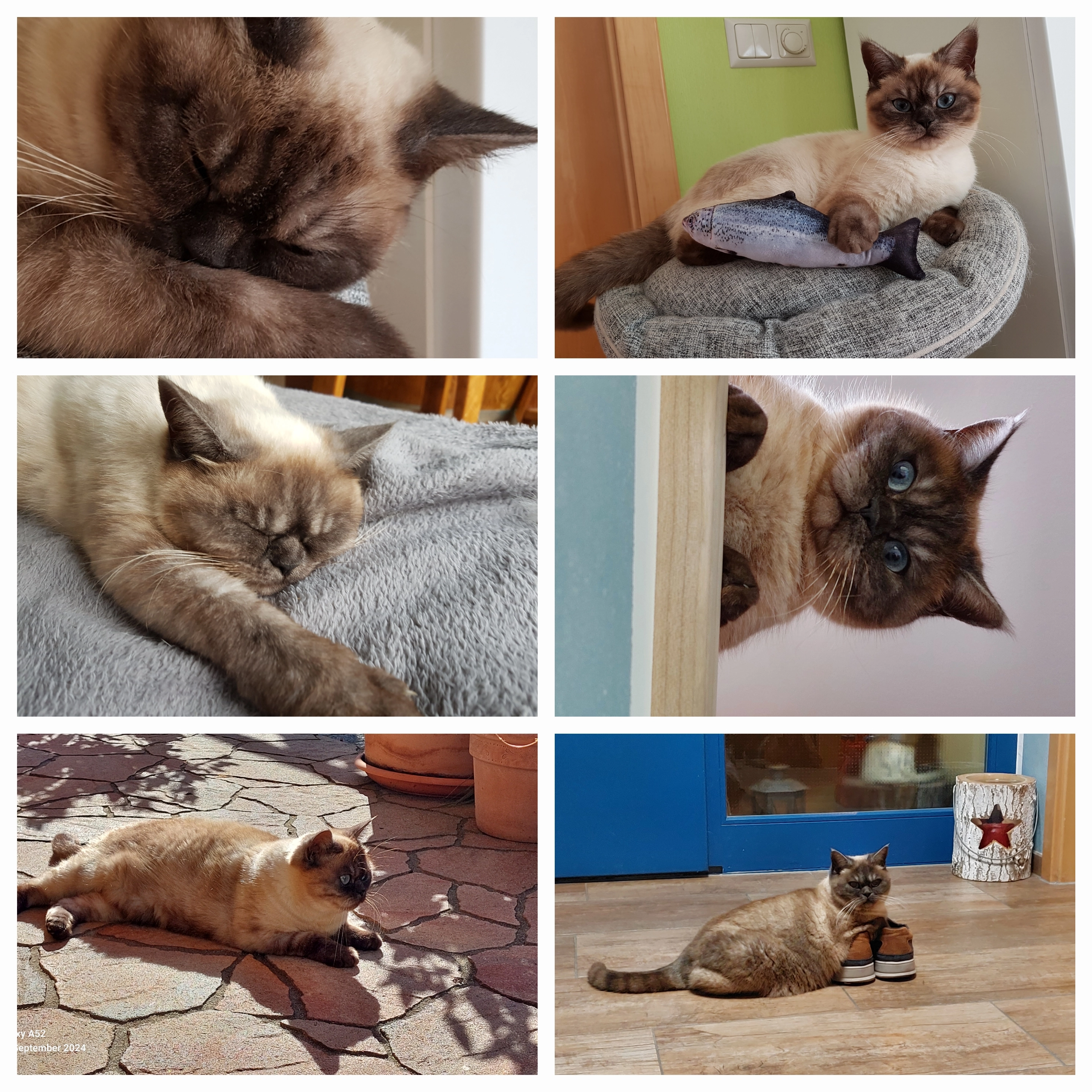 Elli - Am Rathaus, Lohsa