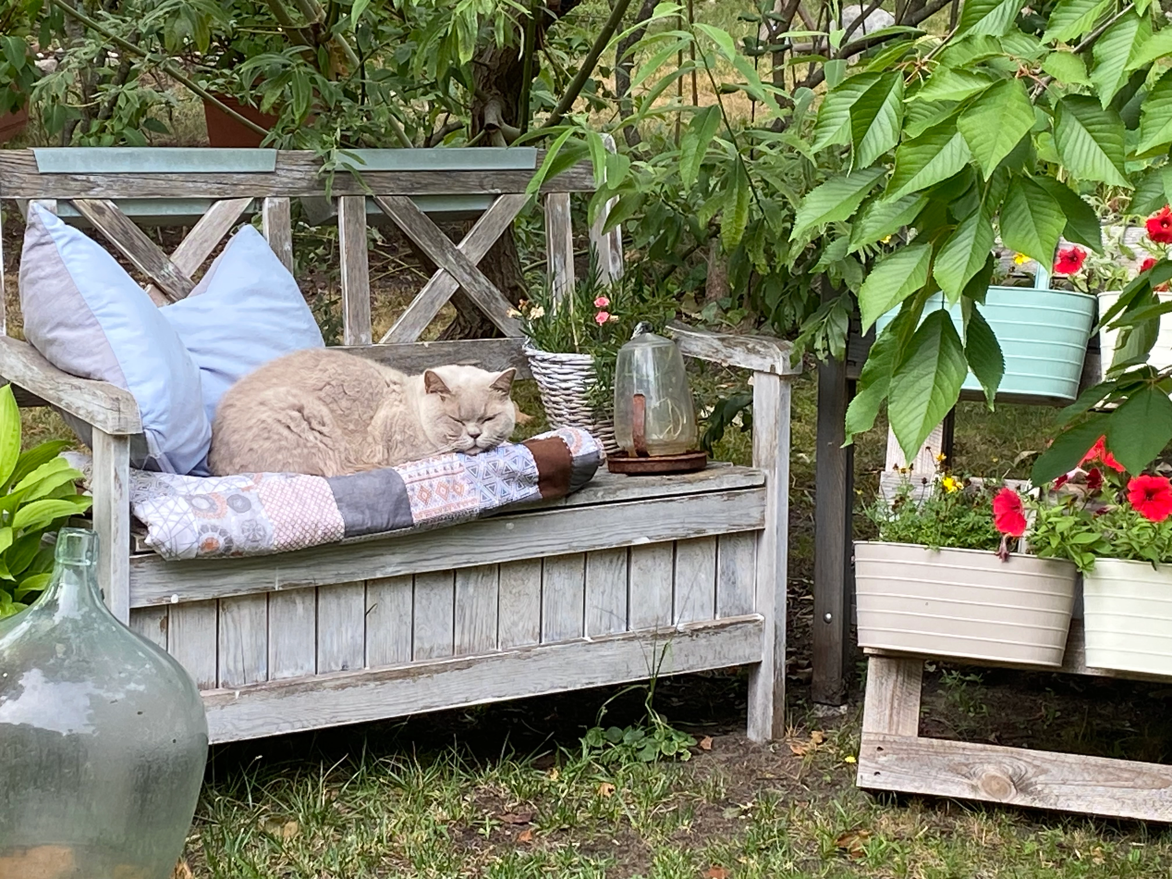 Minzie - Heidelandweg 41, Grünheide