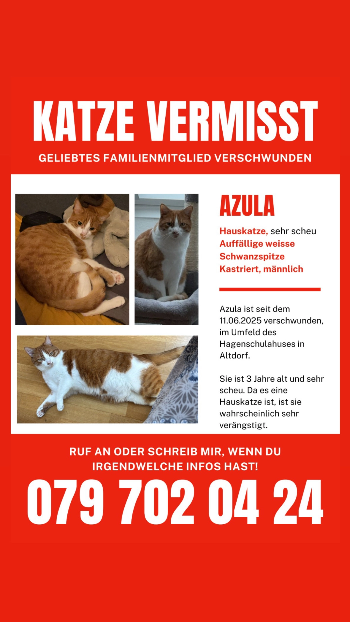 Azula - Bahnhofstrasse 32, Altdorf