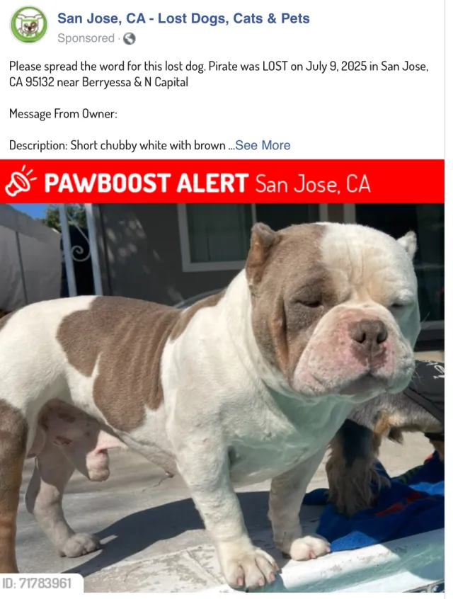 Pirate  - 1067 Ruge Dr, San Jose