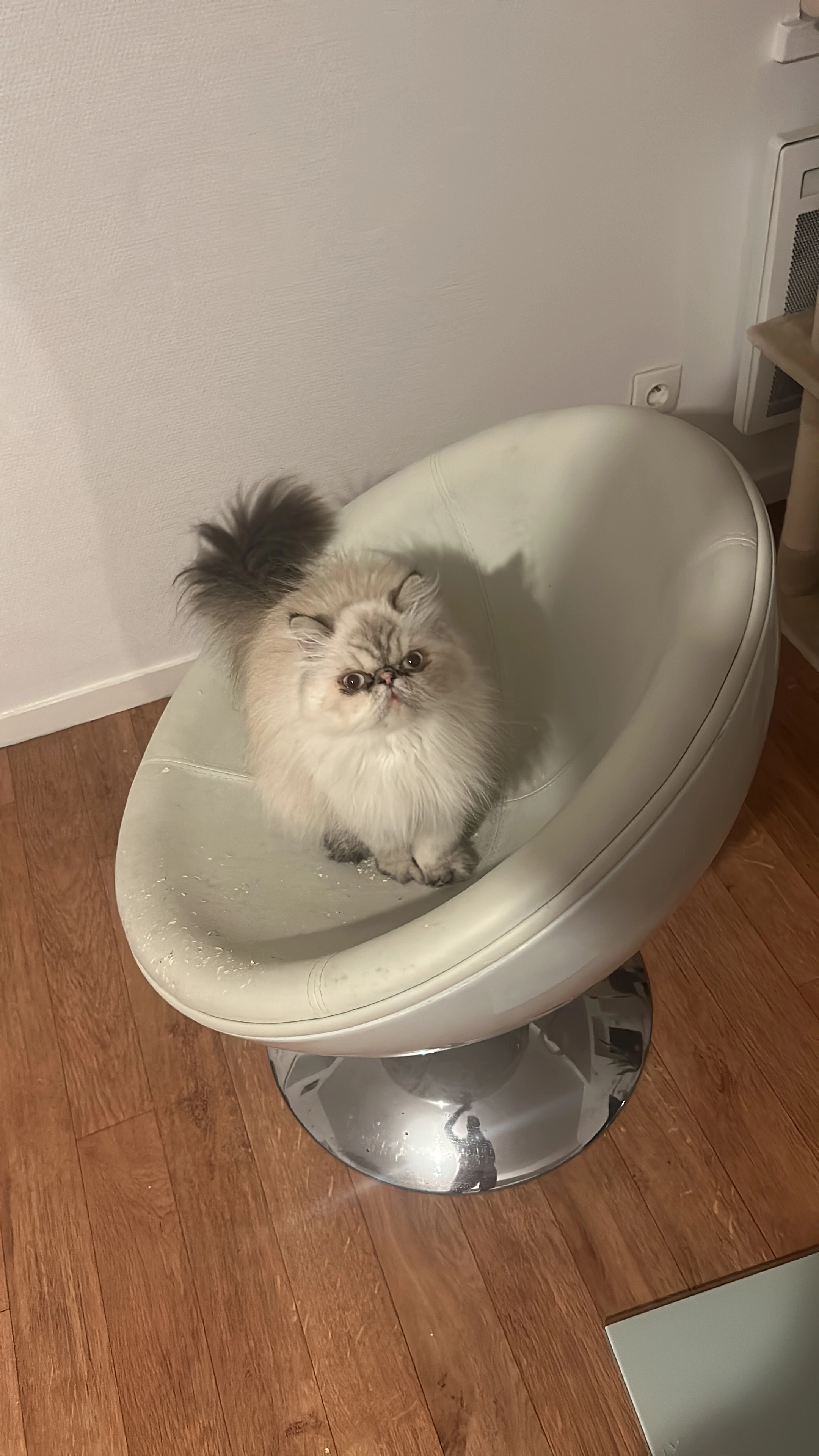 Ruby - 15 Rue Denis Diderot, Les Pennes-Mirabeau