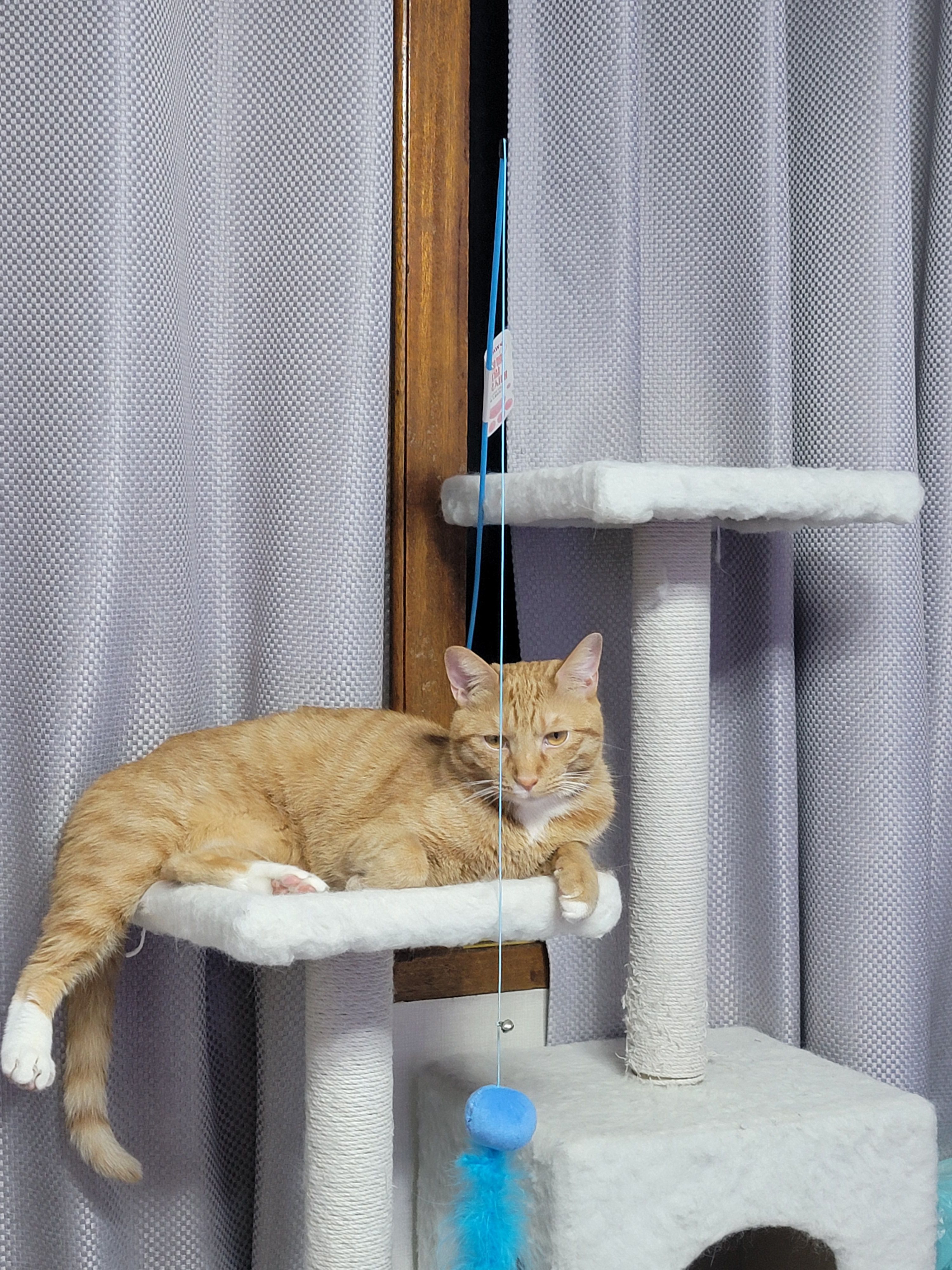 가을 - 둘레21가길, Seoul