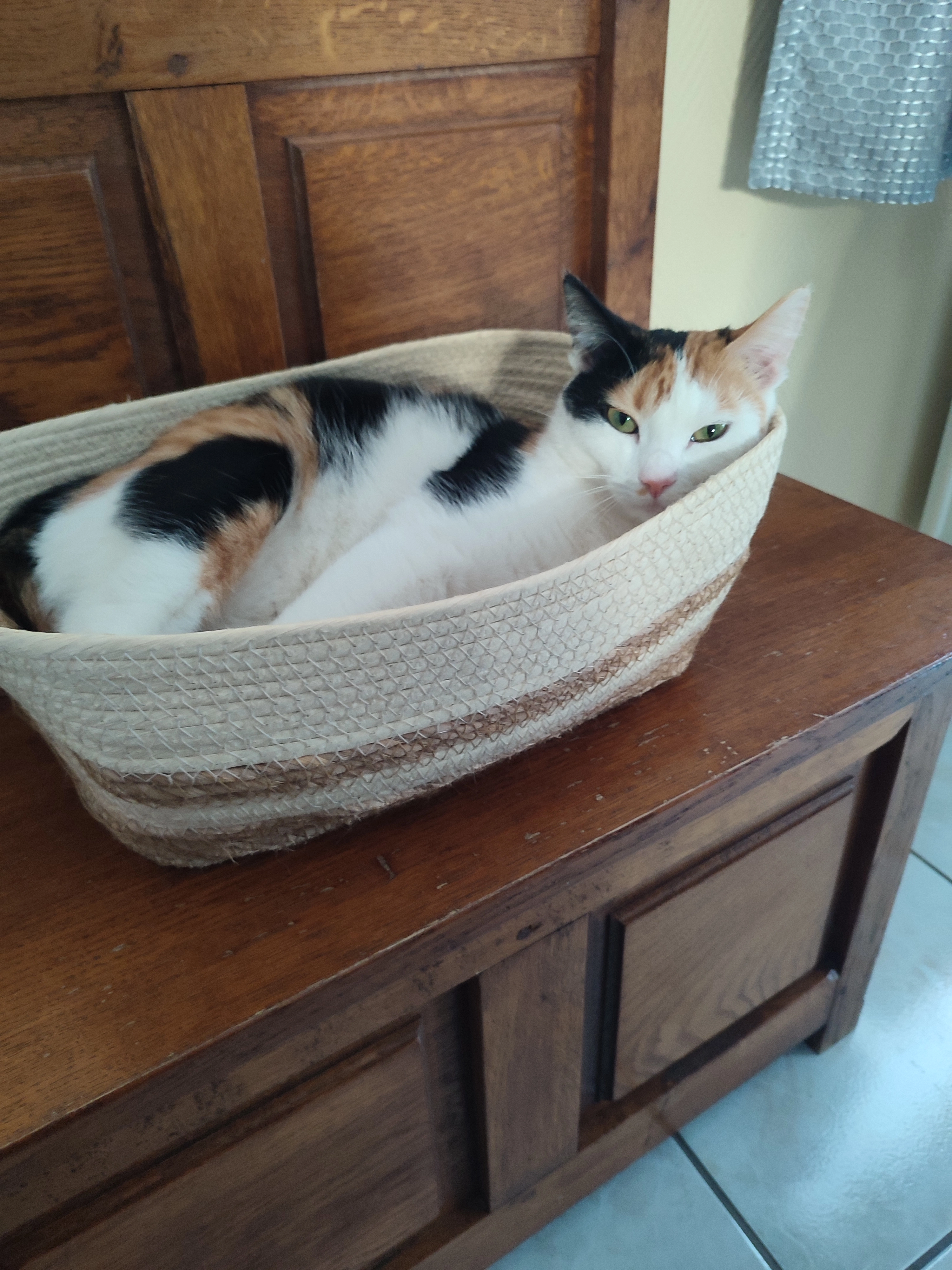 Vani - Rue de Malplaquet, Quévy