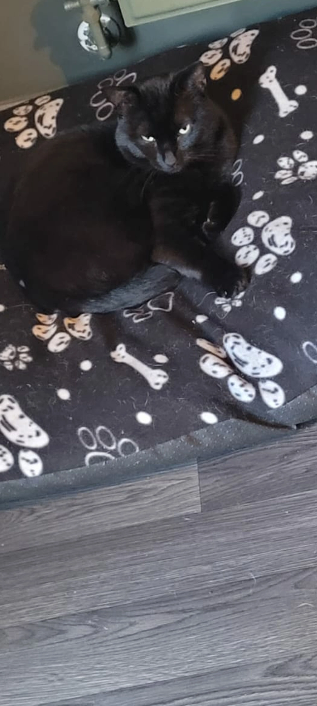 Creeper - All Saints Close, March