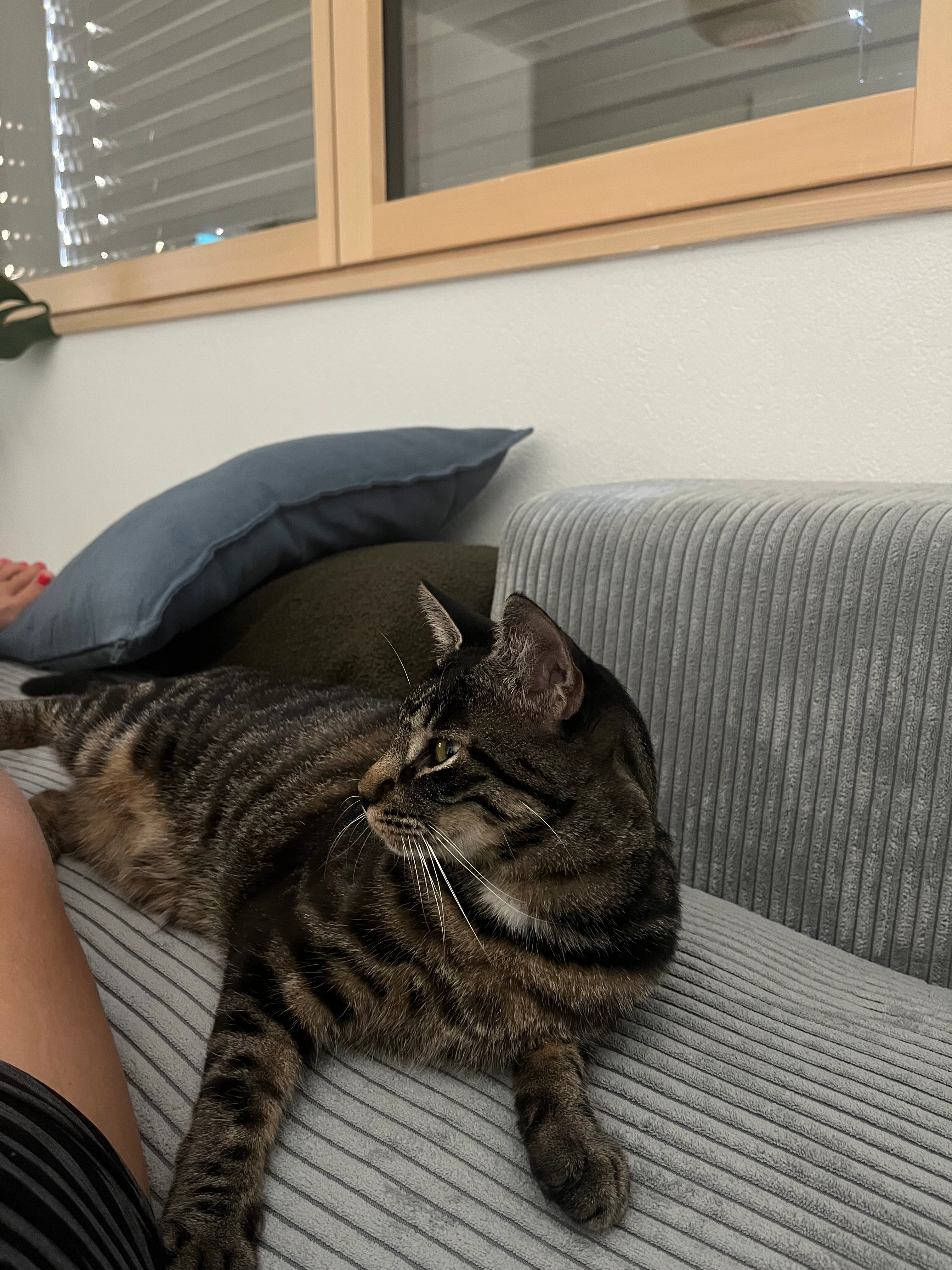 Gibbs - Route de Villarlod 75, Gibloux