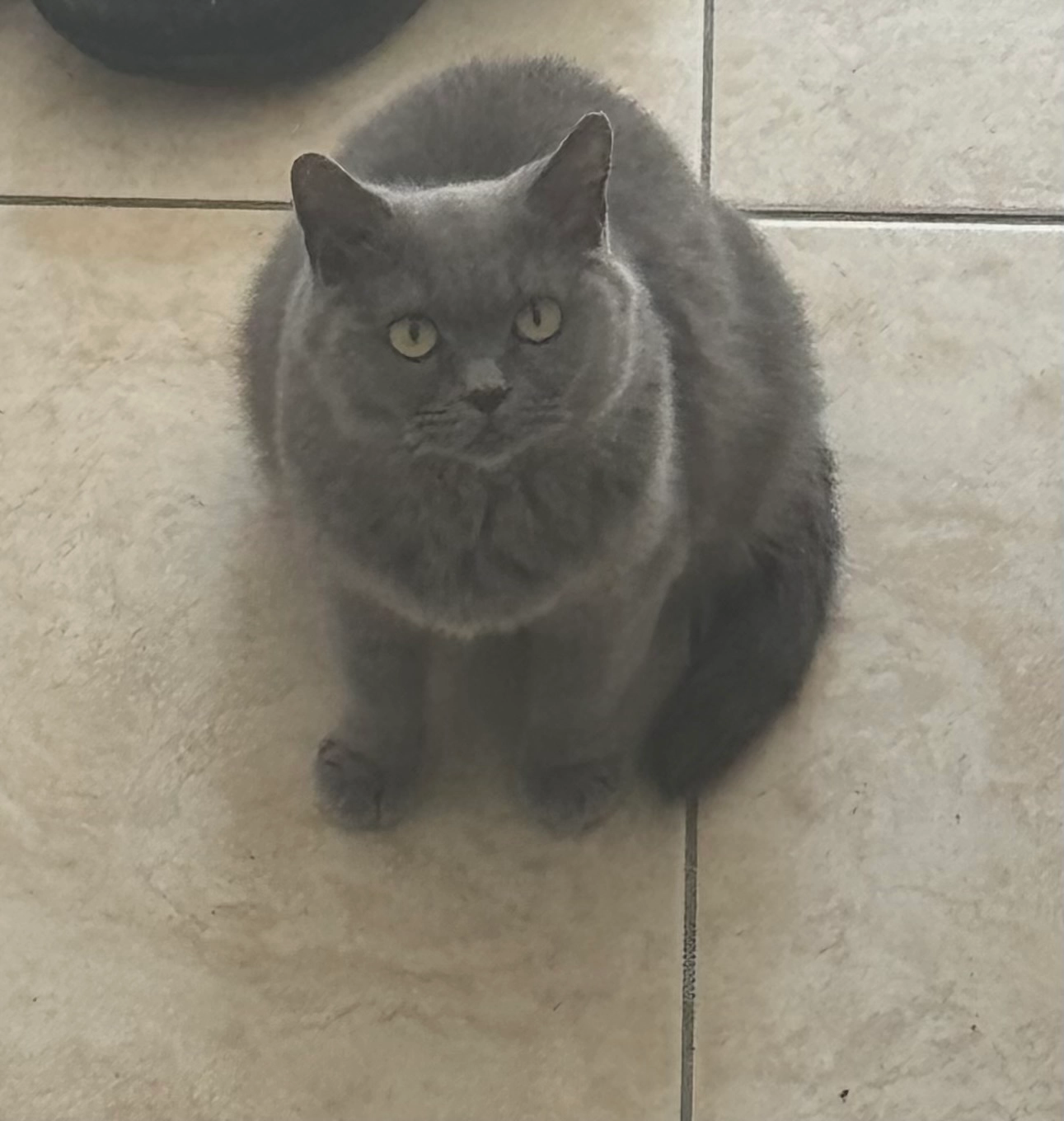 Lulu - Vlettevaart, Rucphen