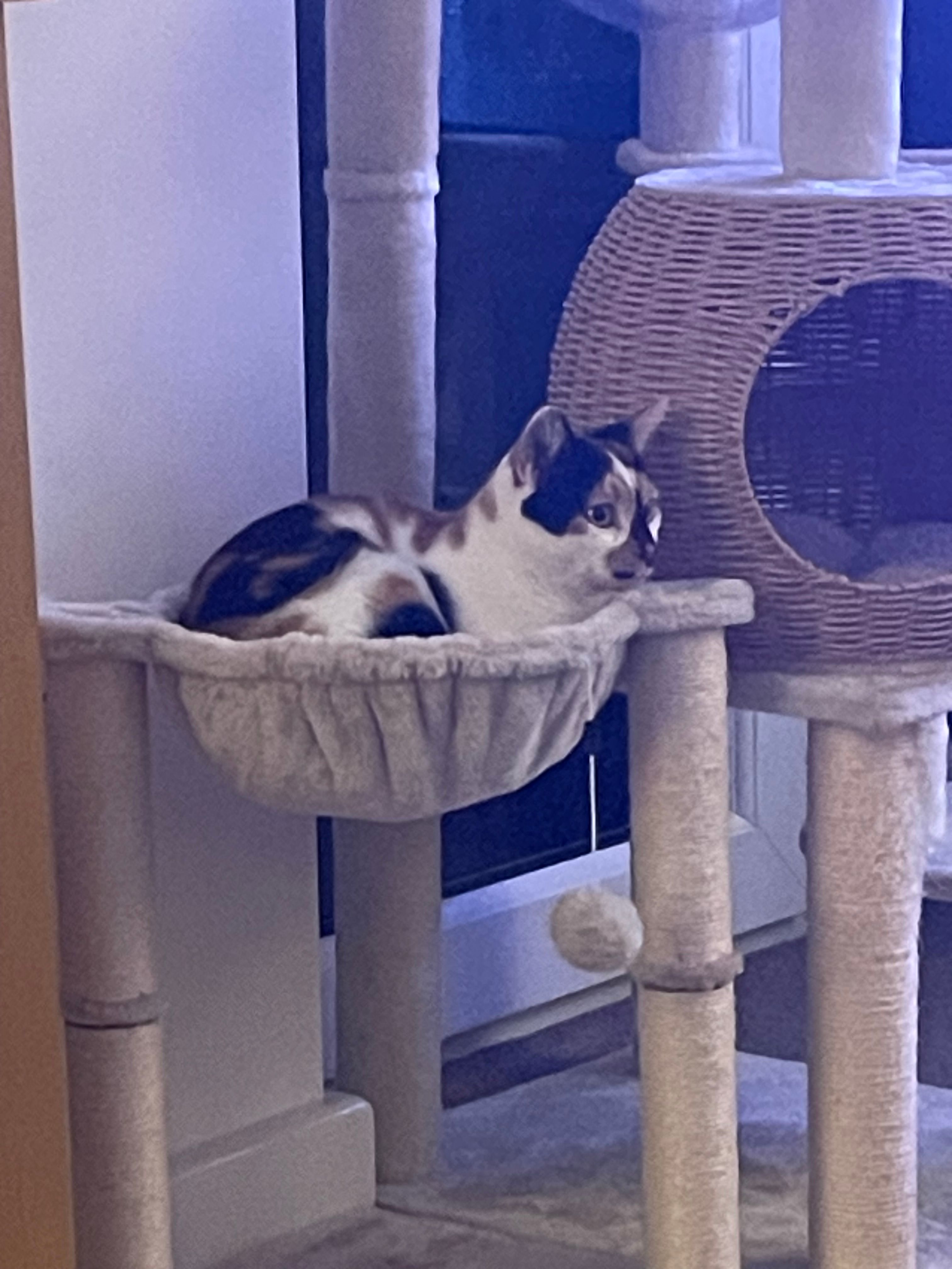 Marvel - Dolby Vale, Grimsby