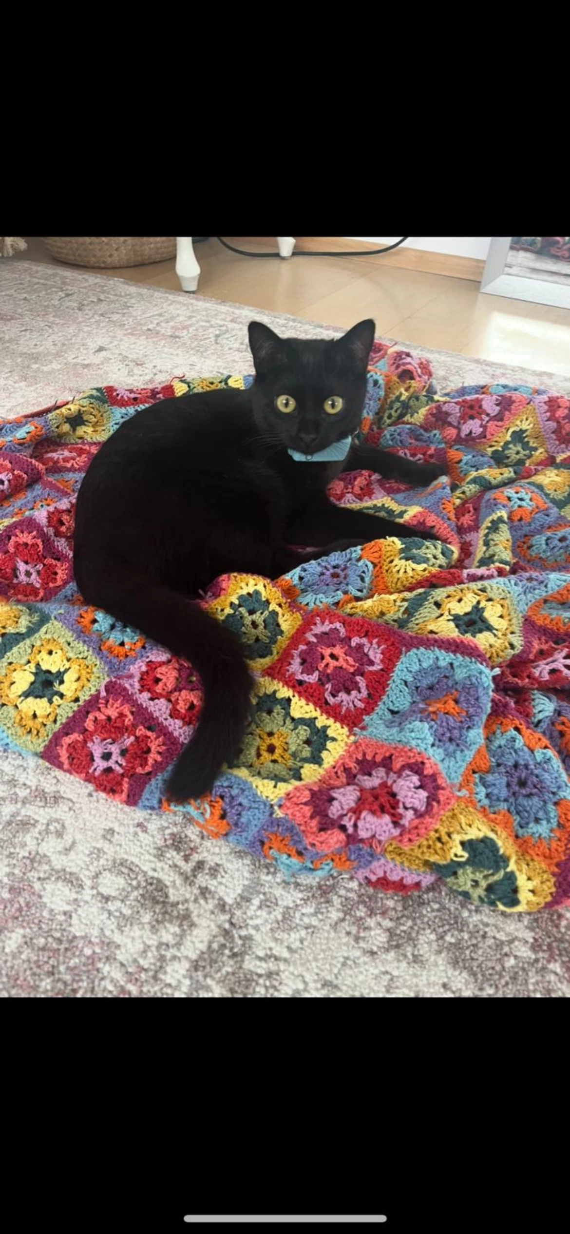 Finni - Bärenklaustraße, Ingolstadt