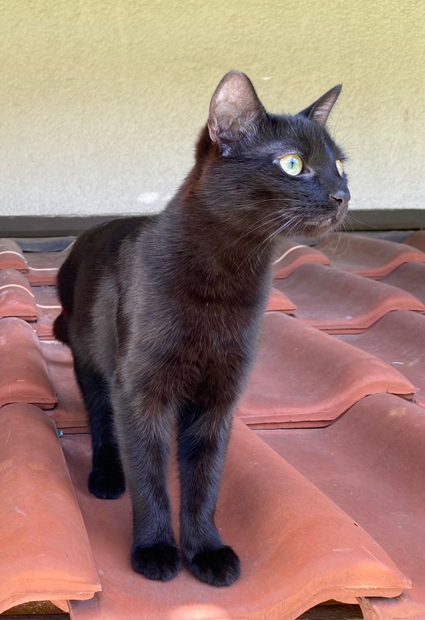 Emma  - Pfortenklinge, Rentweinsdorf