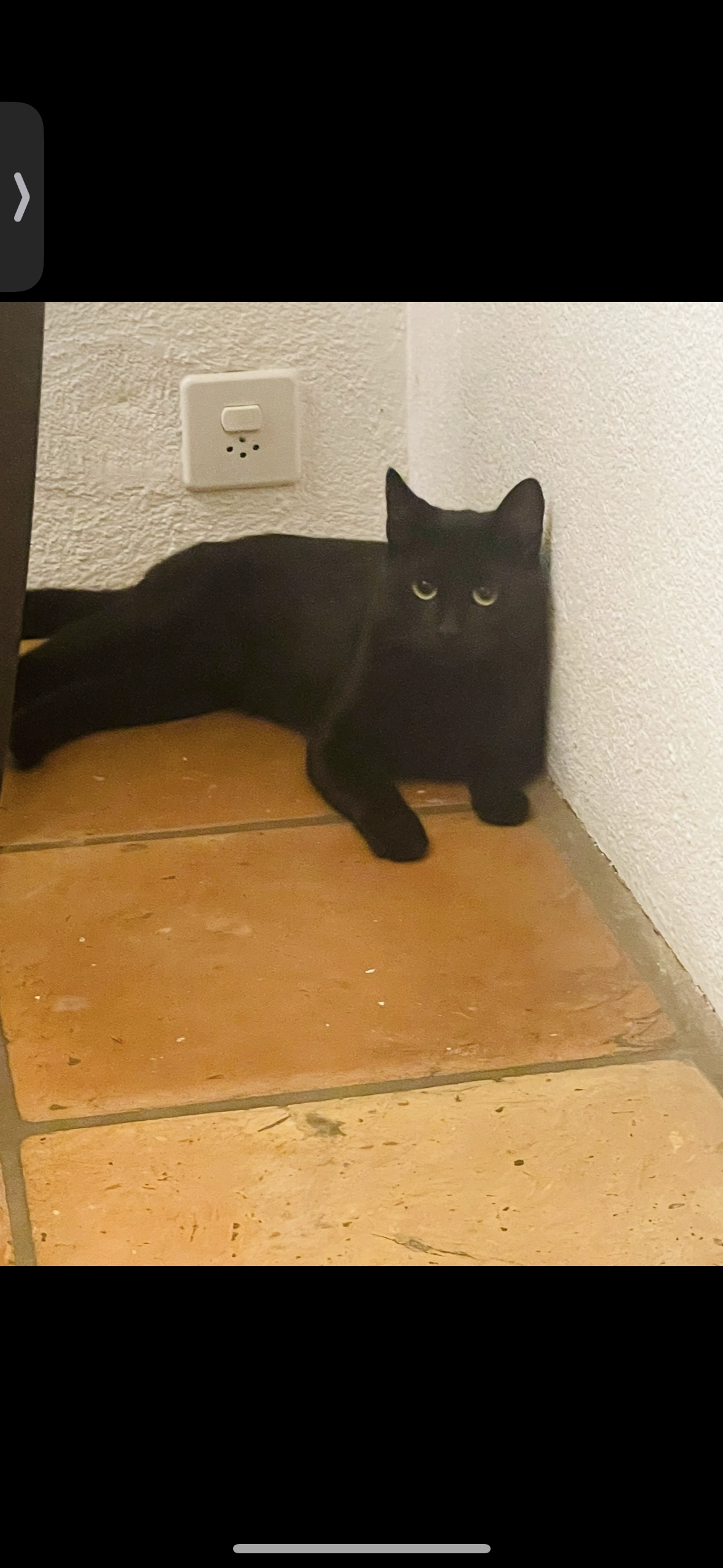 Daisy - Zugerstrasse 76, Walchwil