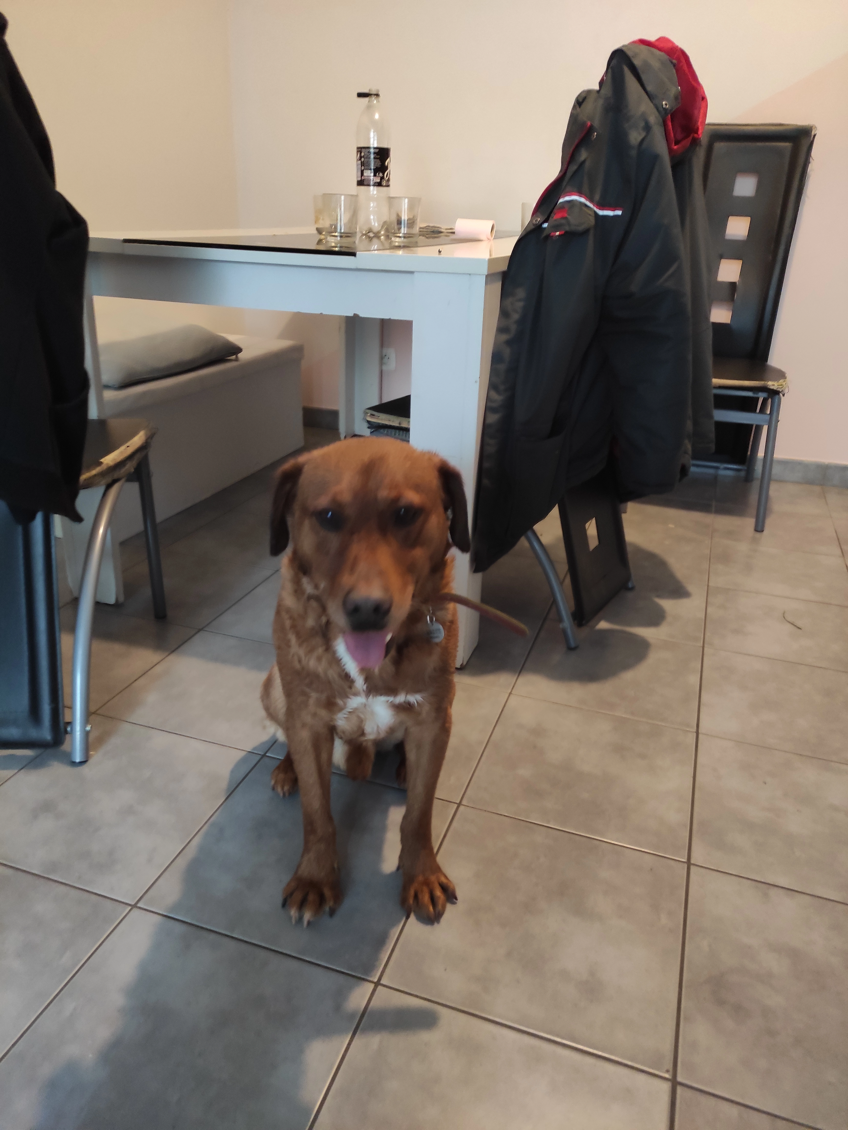 Maco - Rue du Drévieux, Rillieux-la-Pape