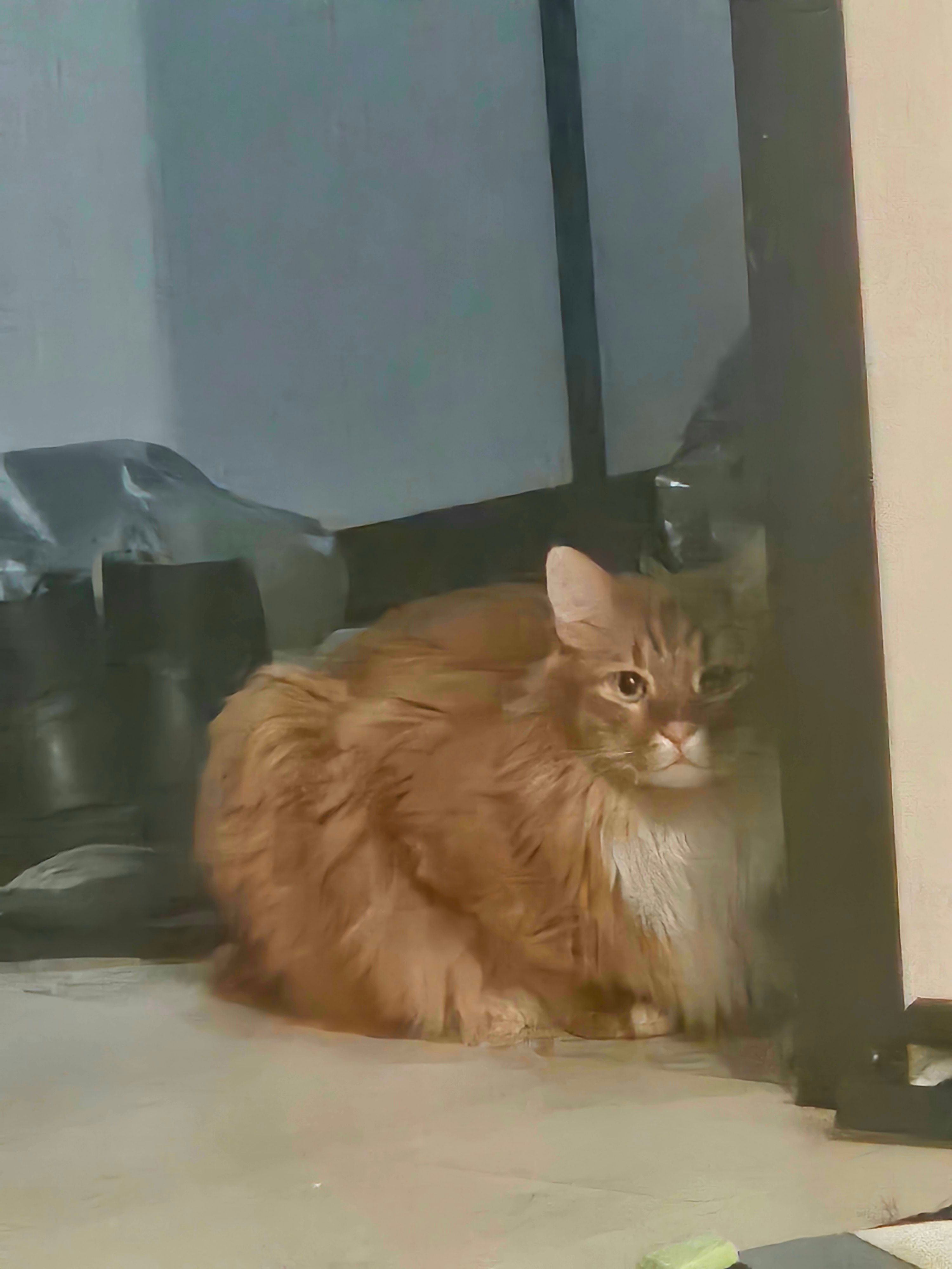 Dawn - Ул. Михася Василька, Hrodna