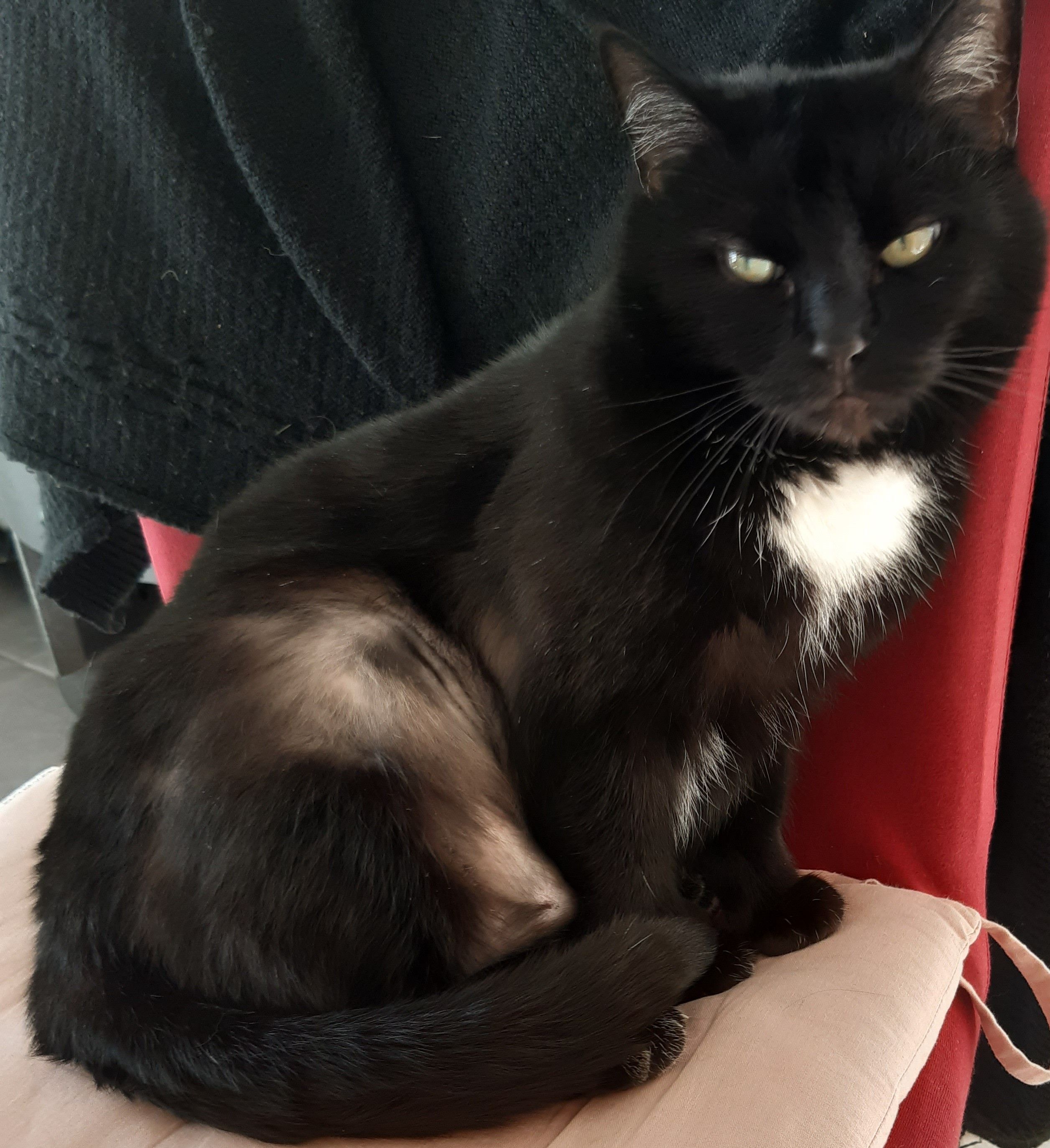 Lia - Alte Steige, Pfedelbach