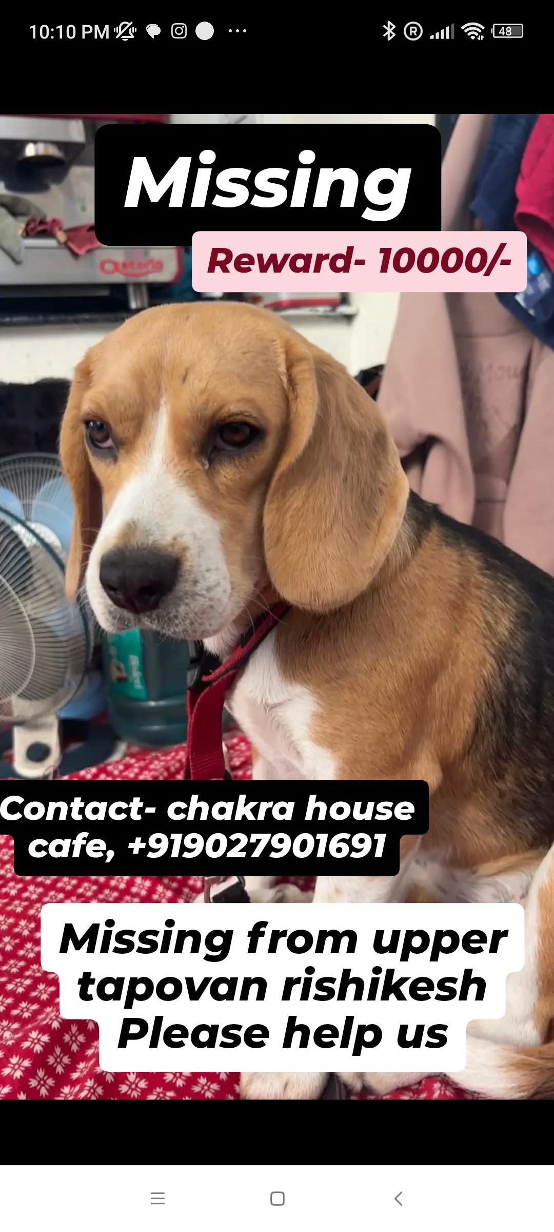 Luna - Kriya Yoga Lane, Narendra Nagar