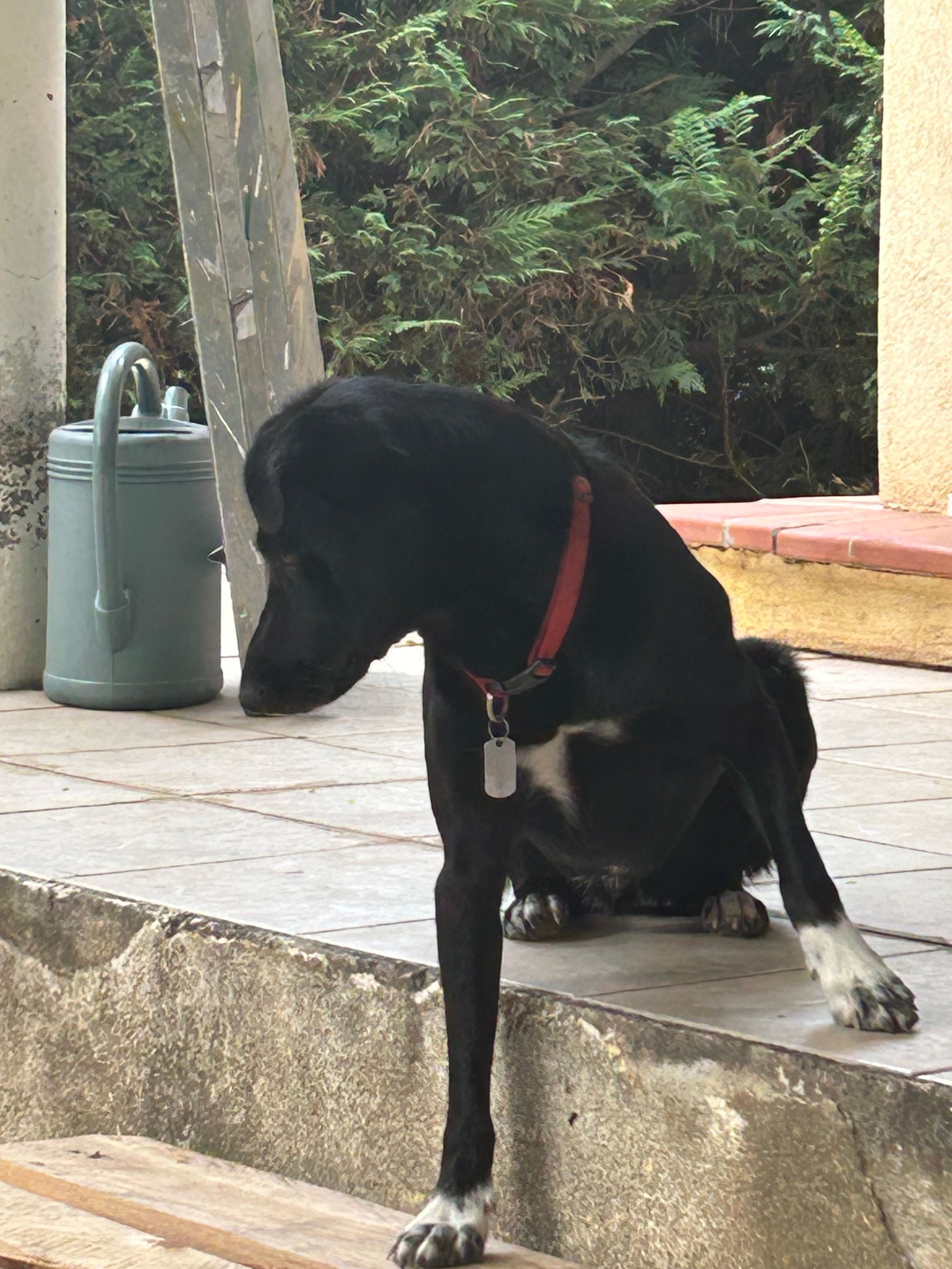 Layko - Lotissement De Pierrefeu, Aix-en-Provence