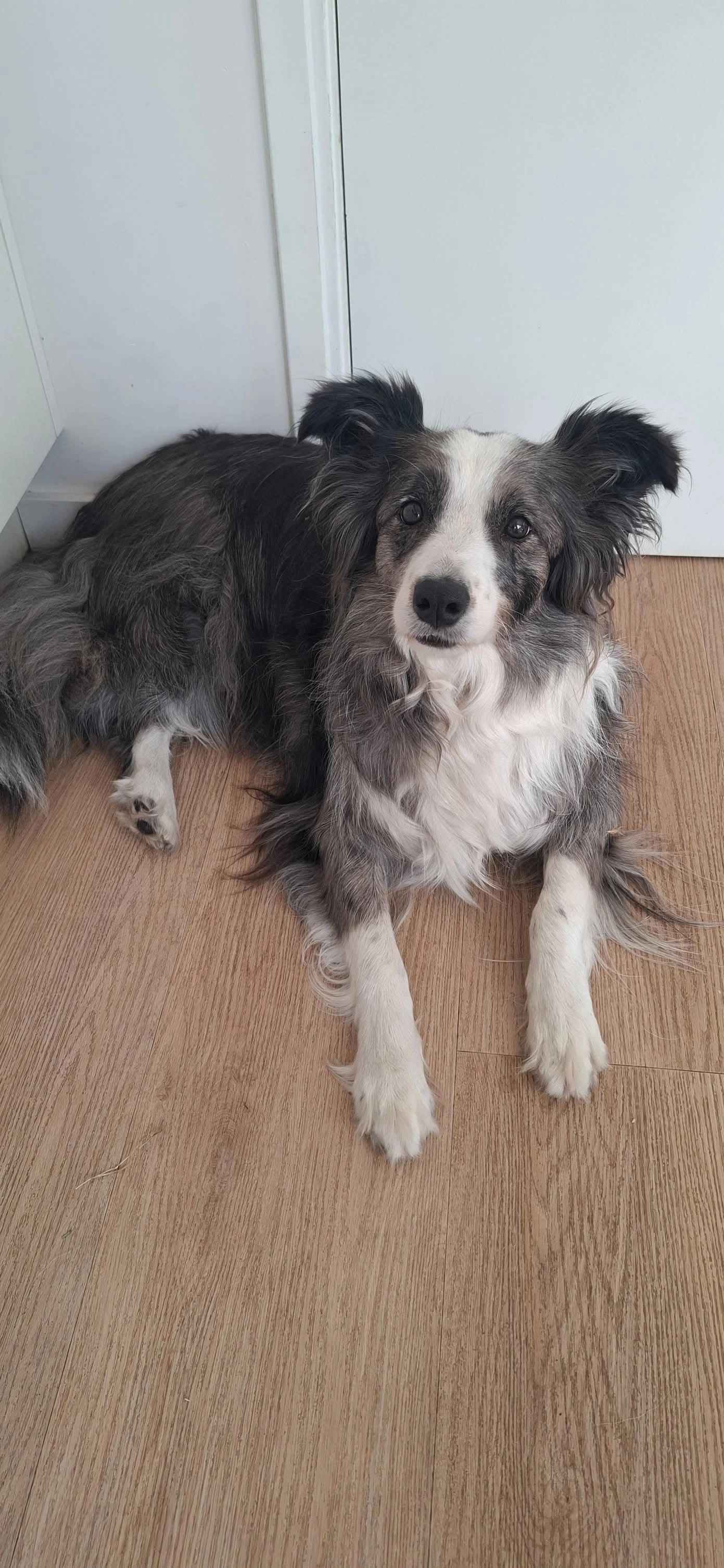 Zita - Olivierstraat, Axel