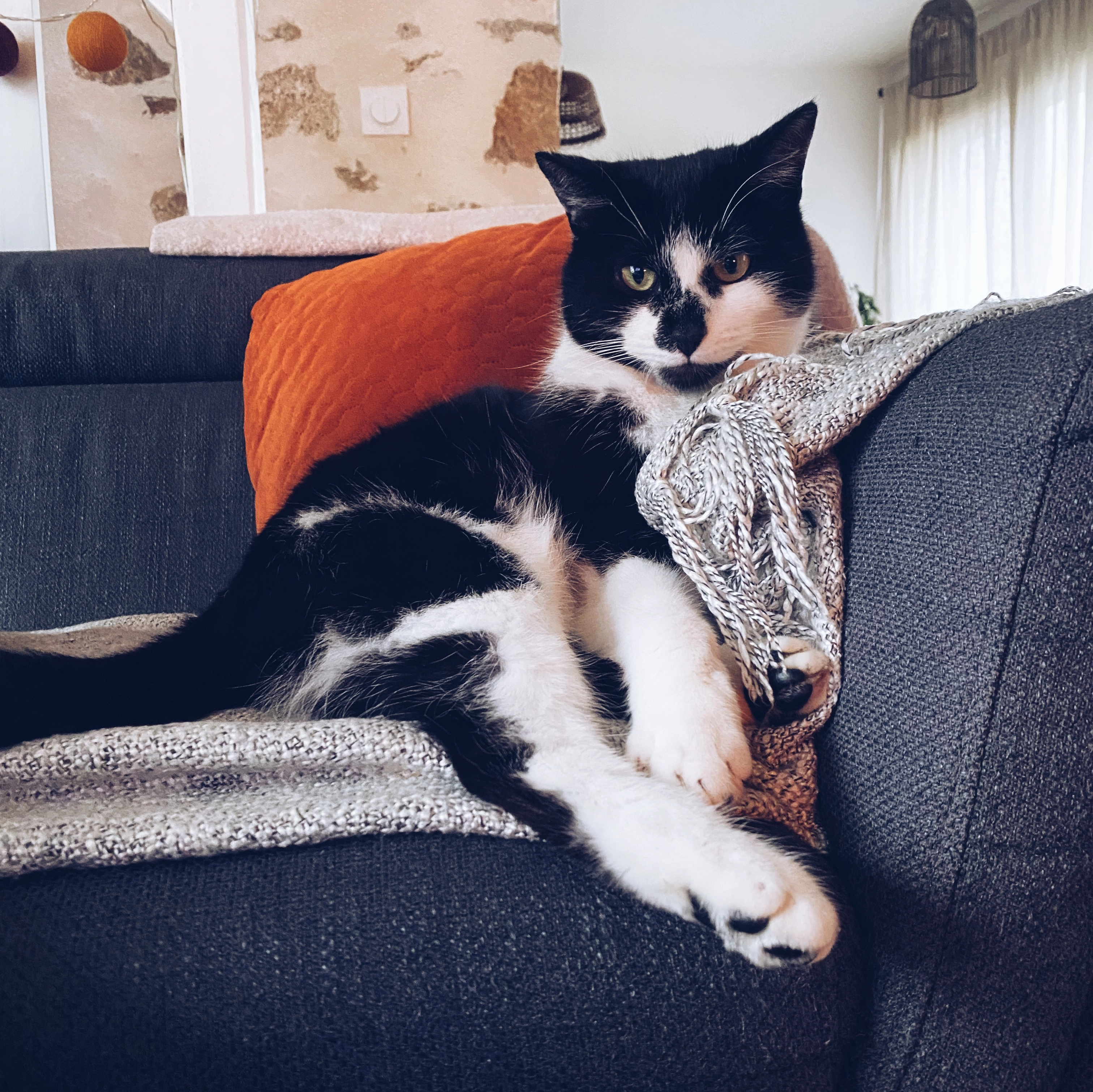 Léni - Rue du Moulin, Sèvremoine