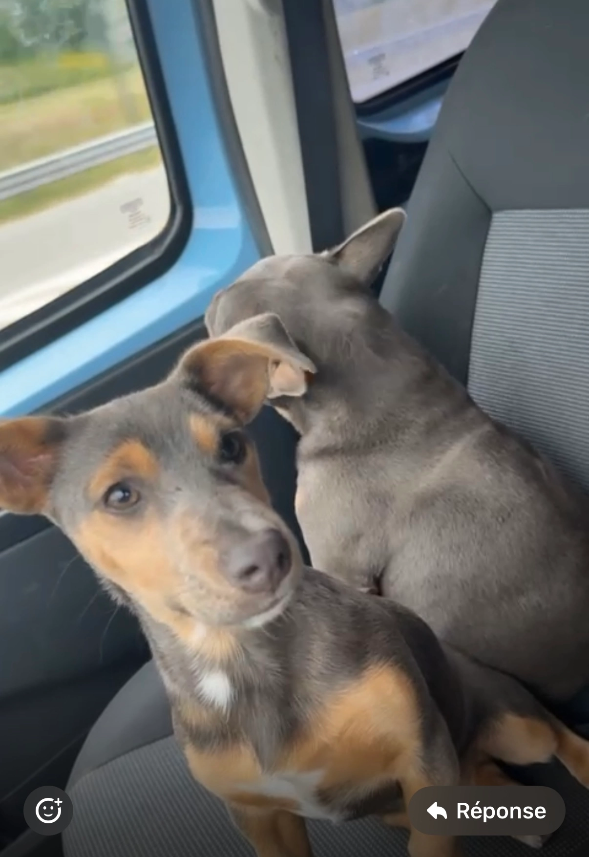 Bluey - Rue du Moulin 44, Anderlues