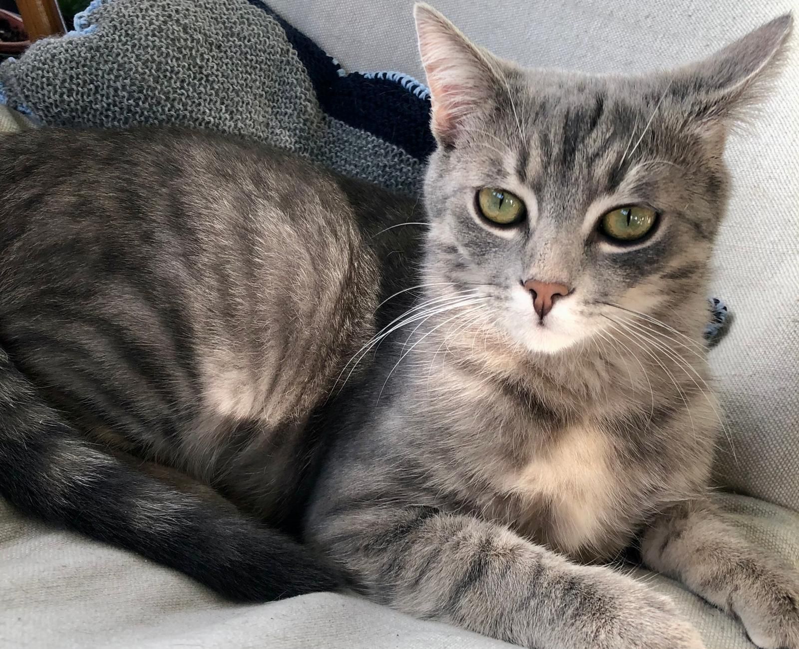 Pablo - Keilberg, Spalt