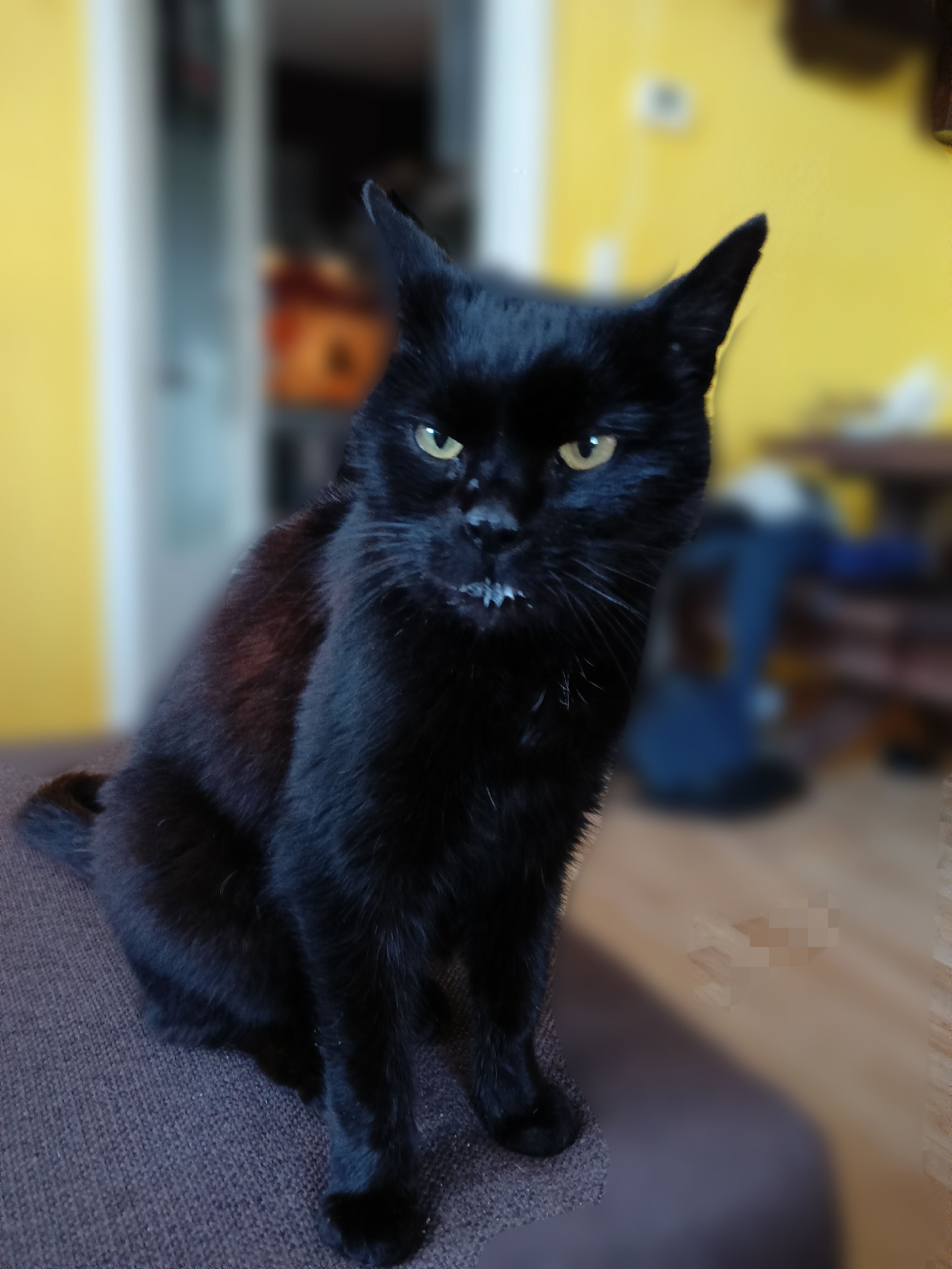 Sheila  - Fabrikstraße, Sehmatal