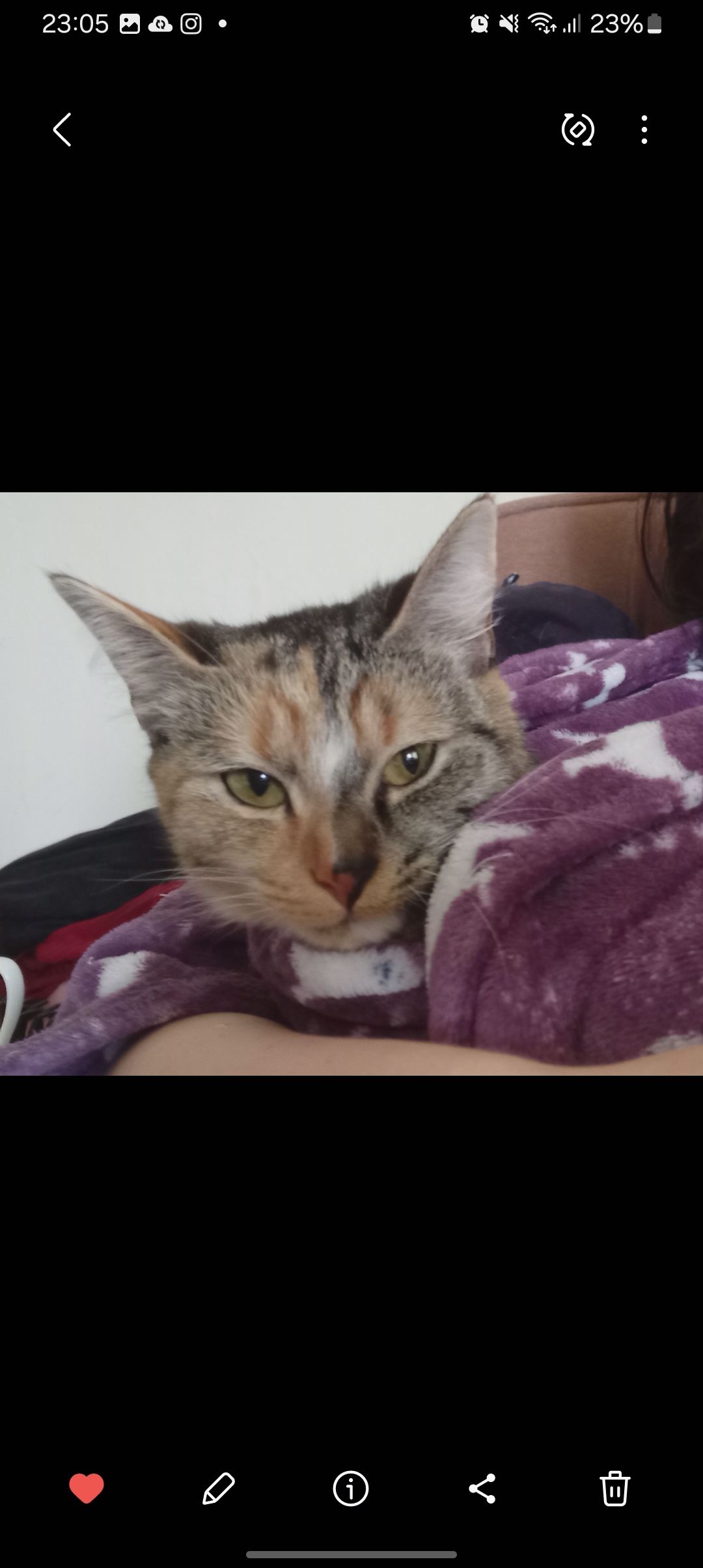 Sylvie - Spring Bank, Scarborough