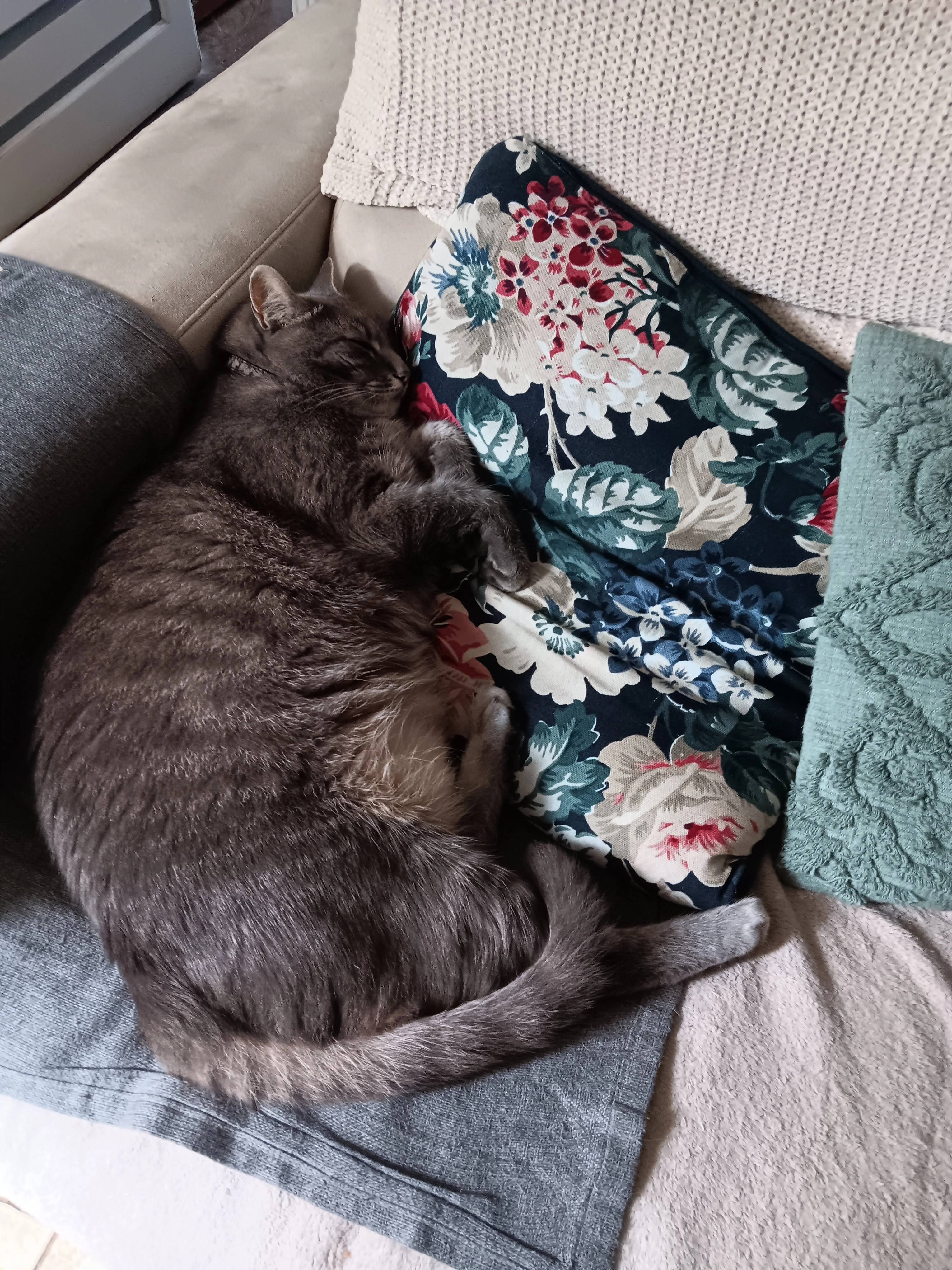 Rasmo - Rue Louis Millet, Avranches