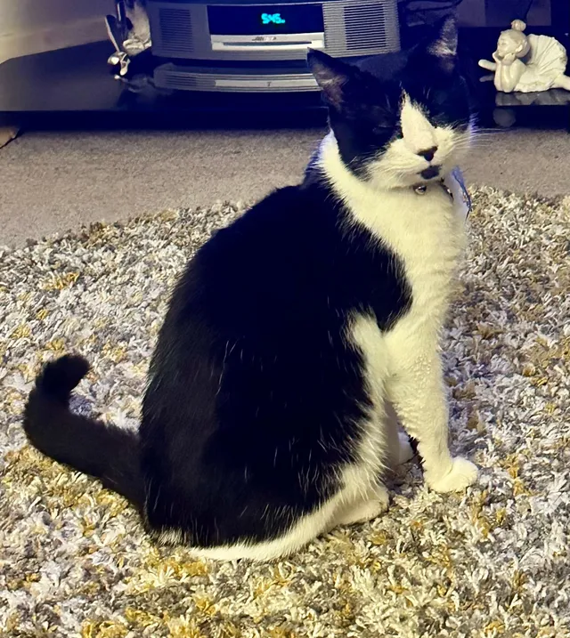 Atticus - Sadlers Court, Abingdon-on-Thames